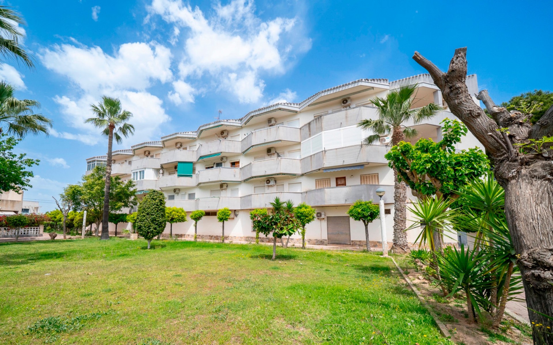 Resale - Appartement - Cabo Roig - San Jose