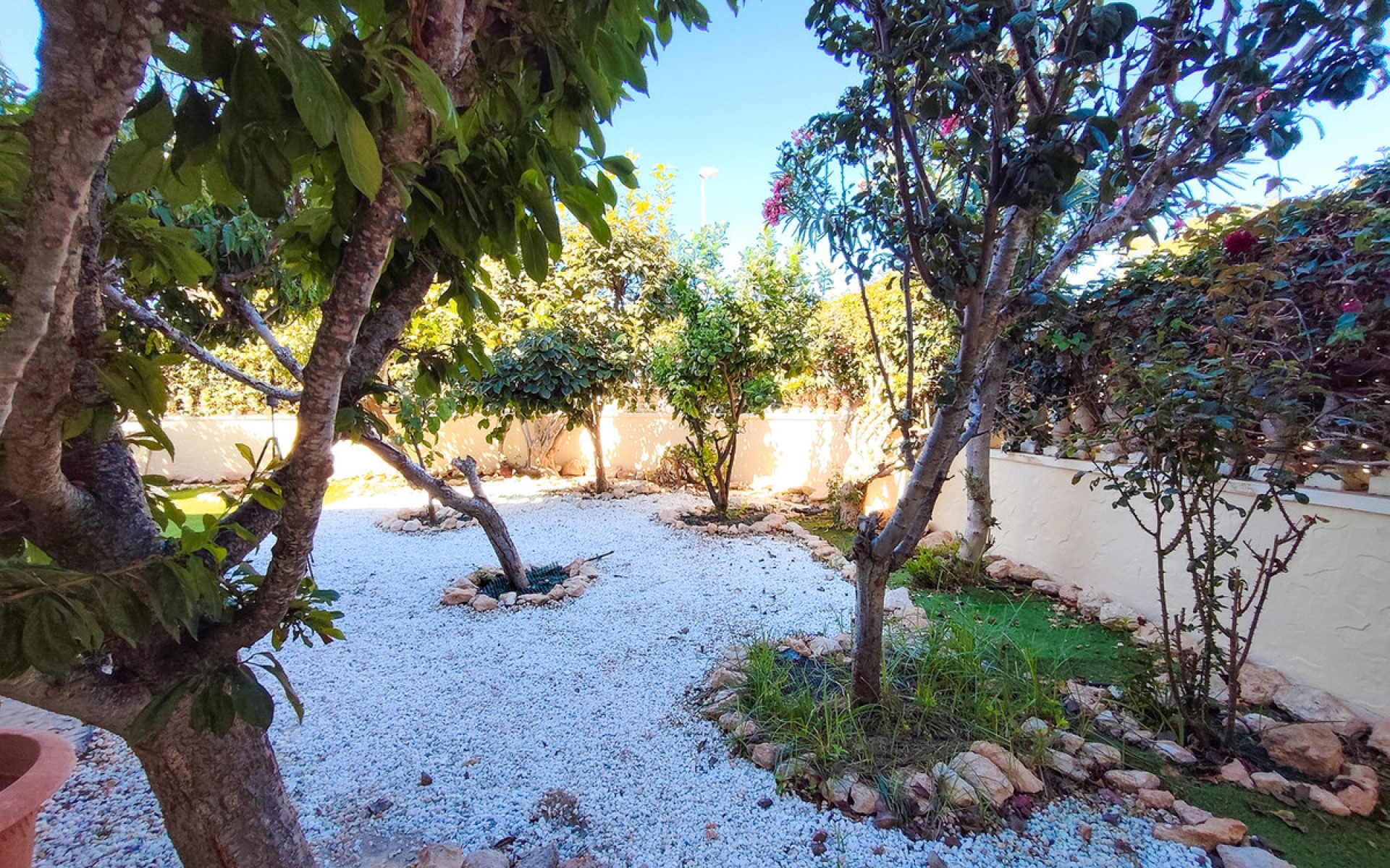 Resale - Appartement - Cabo Roig