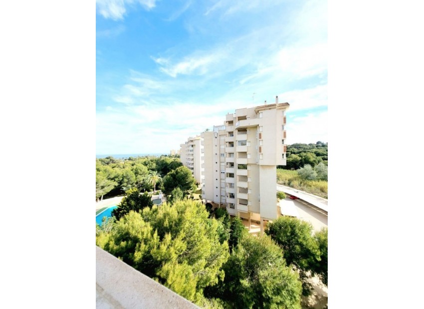Resale - Appartement - Campoamor - Dehesa de Campoamor
