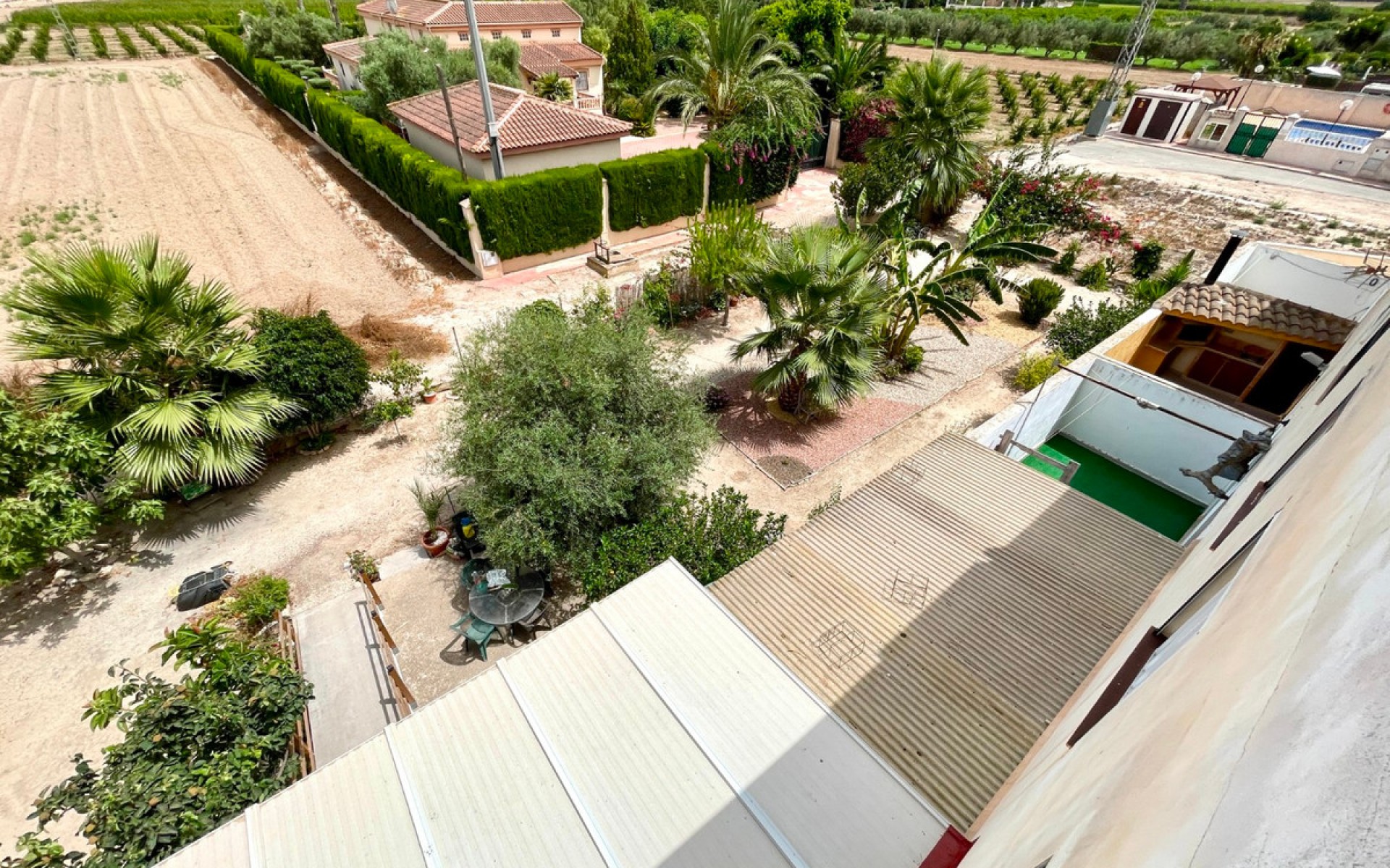 Resale - Appartement - Daya Nueva - Daya Nueva Centro