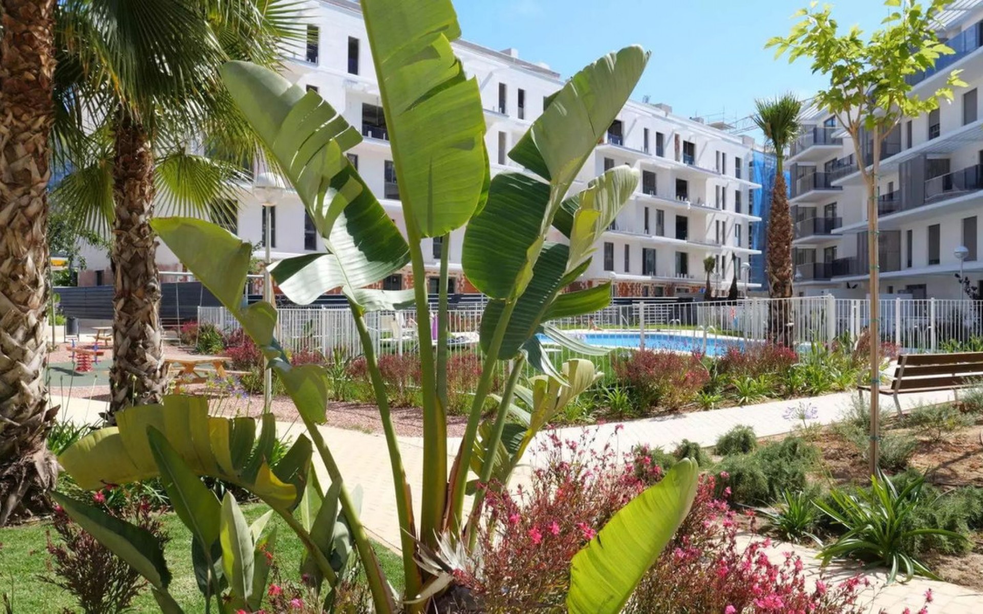 Resale - Appartement - Dénia - Denia Centro