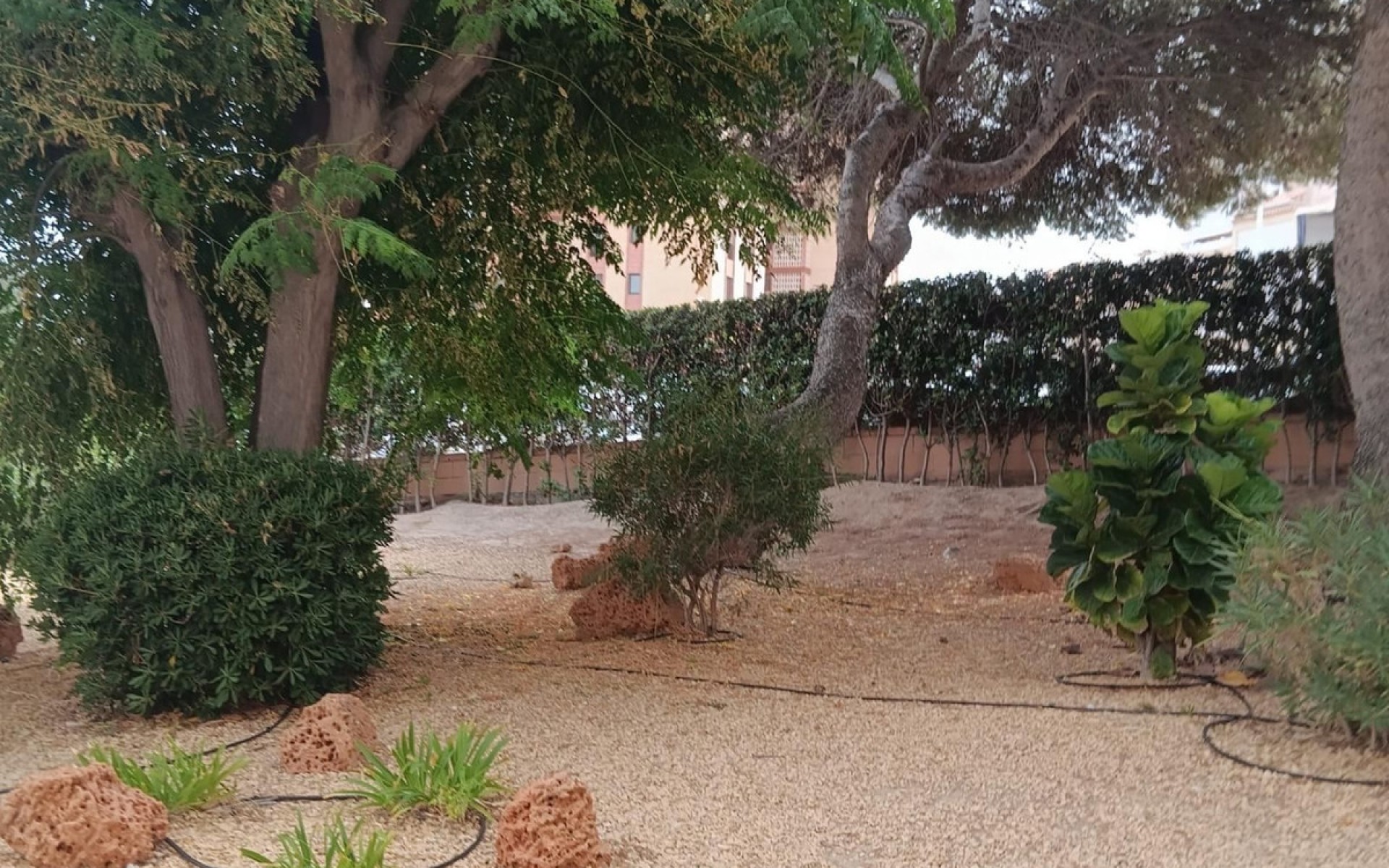 Resale - Appartement - Elche - Arenales del Sol