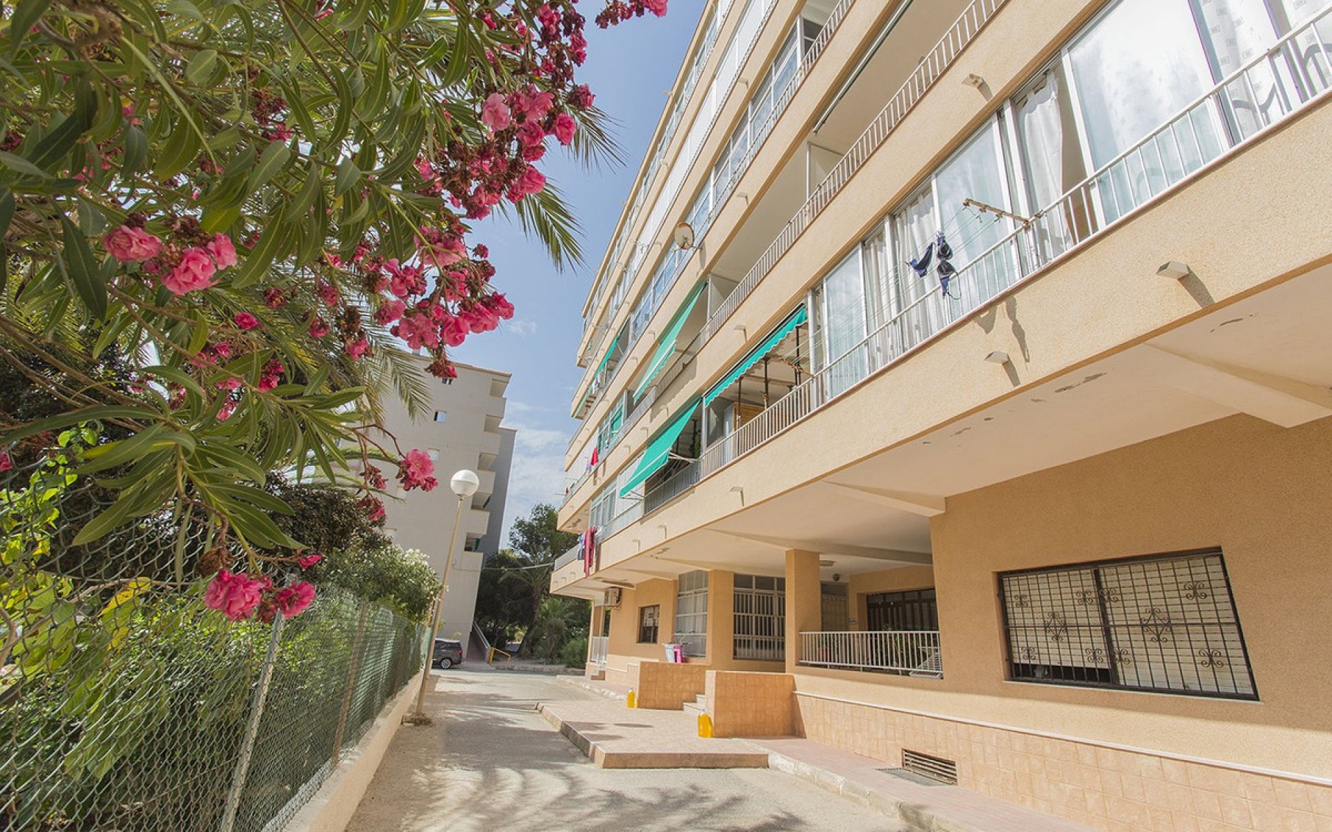 Resale - Appartement - Guardamar Del Segura - Guardamar del Segura Centro