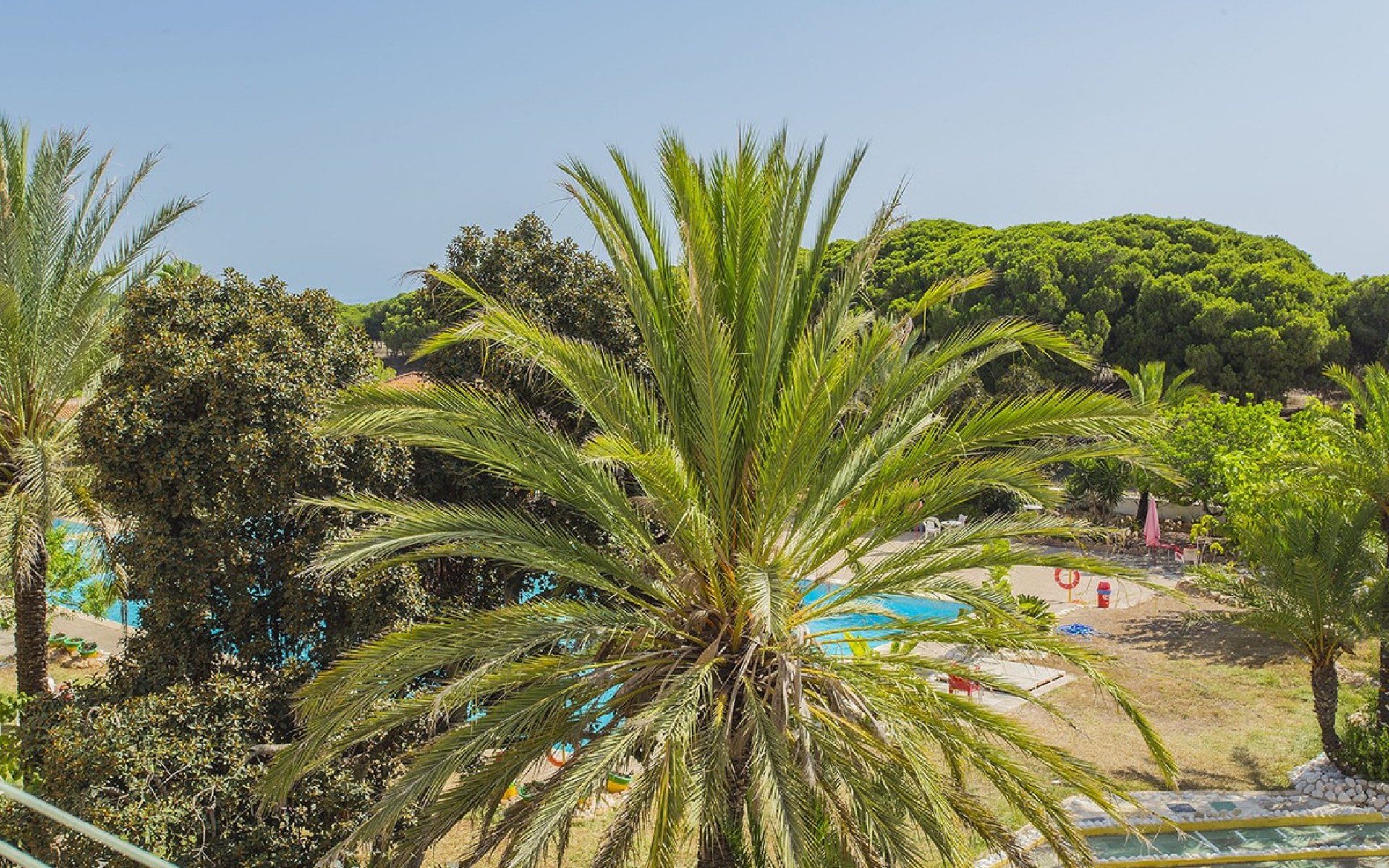 Resale - Appartement - Guardamar Del Segura - Guardamar del Segura Centro