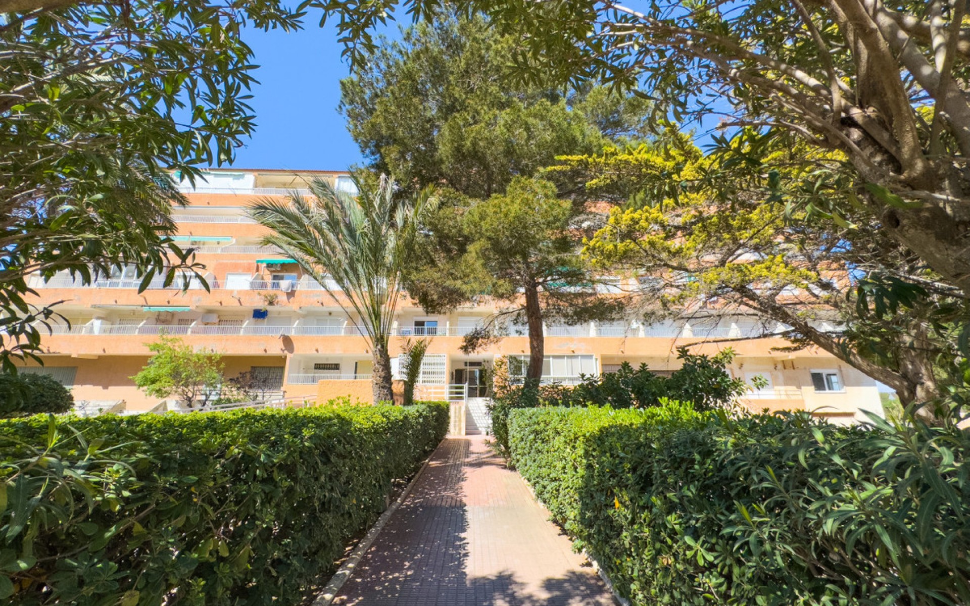 Resale - Appartement - Guardamar Del Segura - Guardamar del Segura Centro