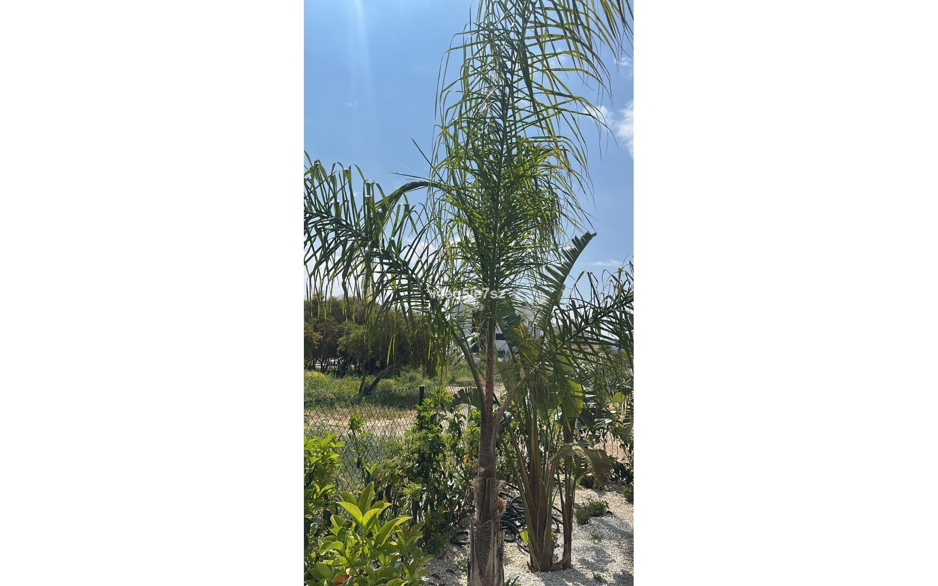 Resale - Appartement - Javea - Jávea - Xàbia Centro