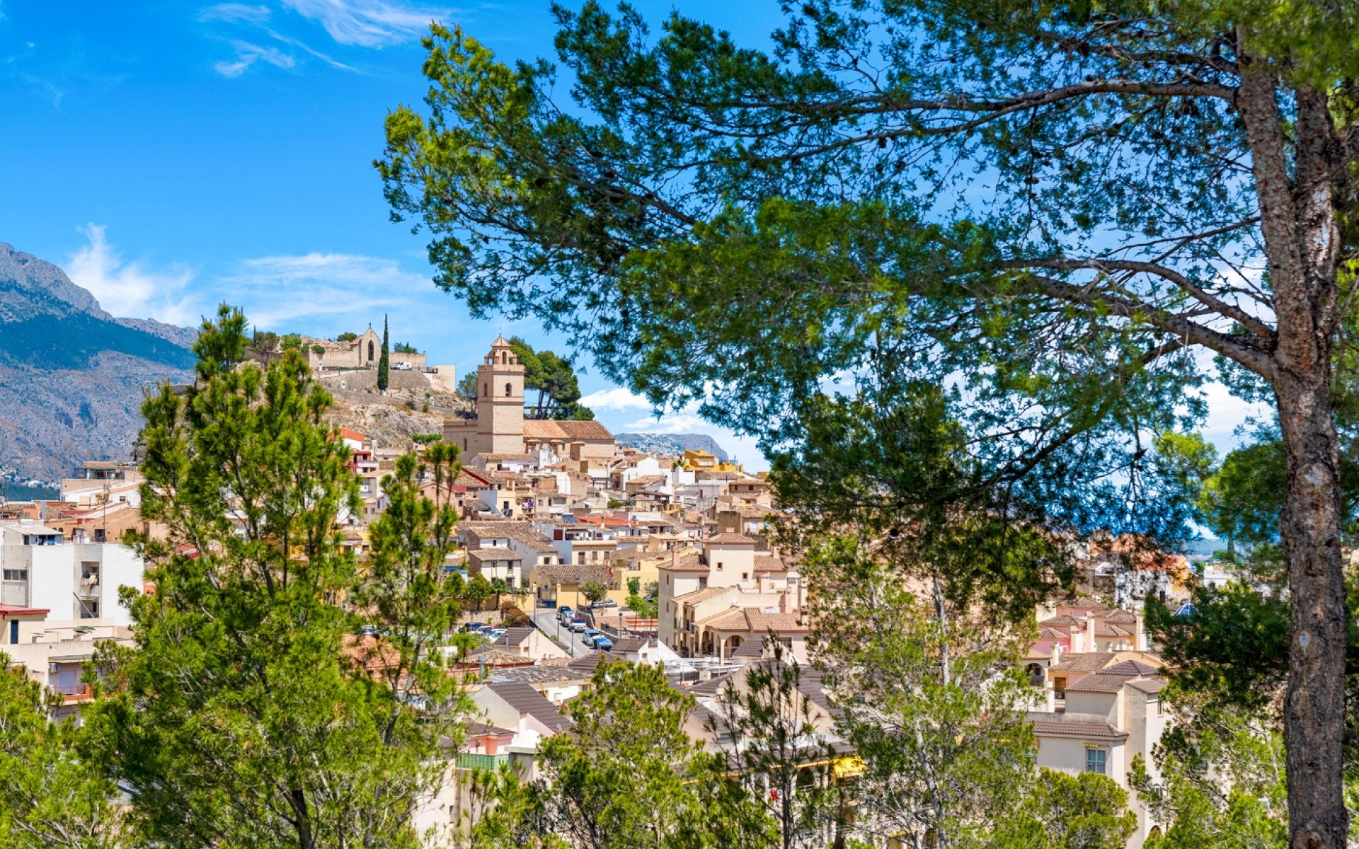 Resale - Appartement - La Nucia