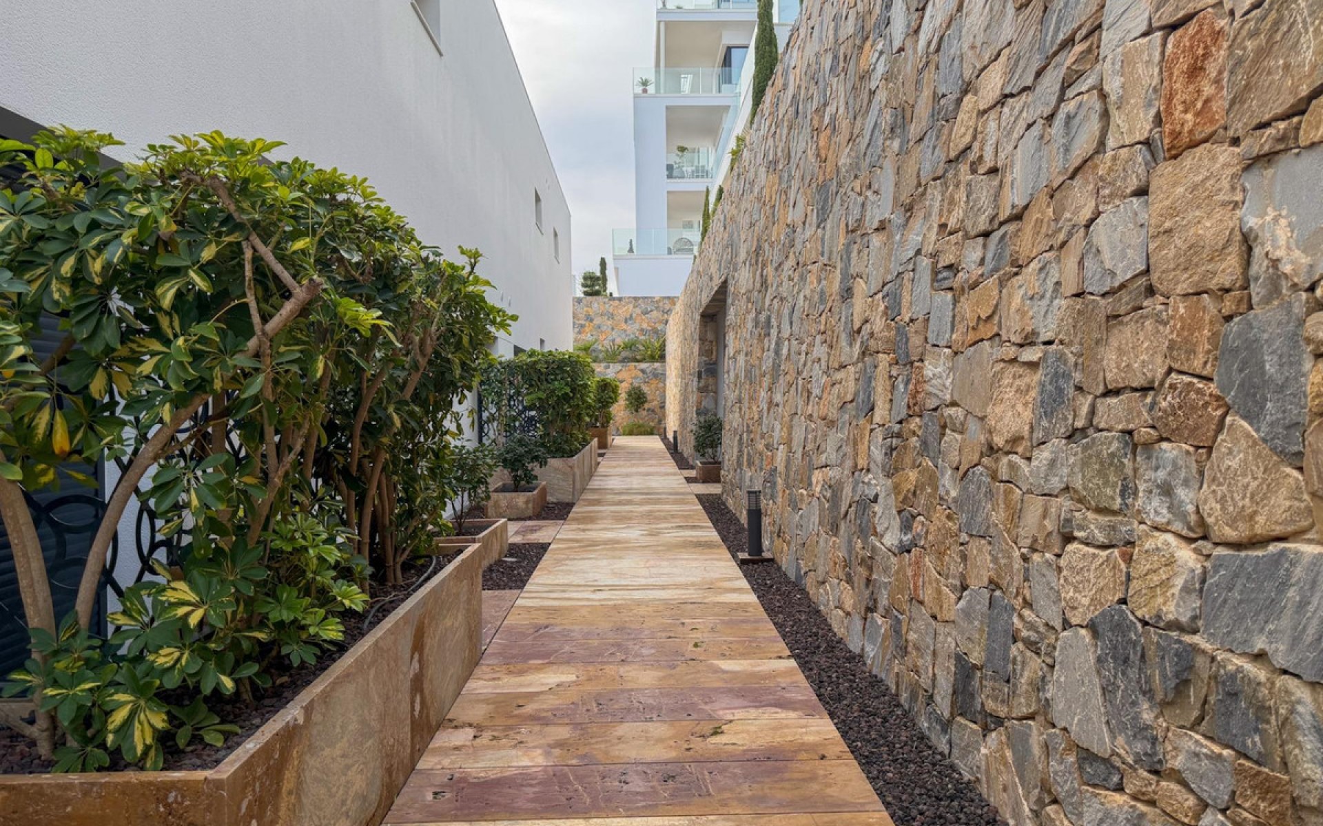 Resale - Appartement - Las Colinas - Las Colinas Golf Resort