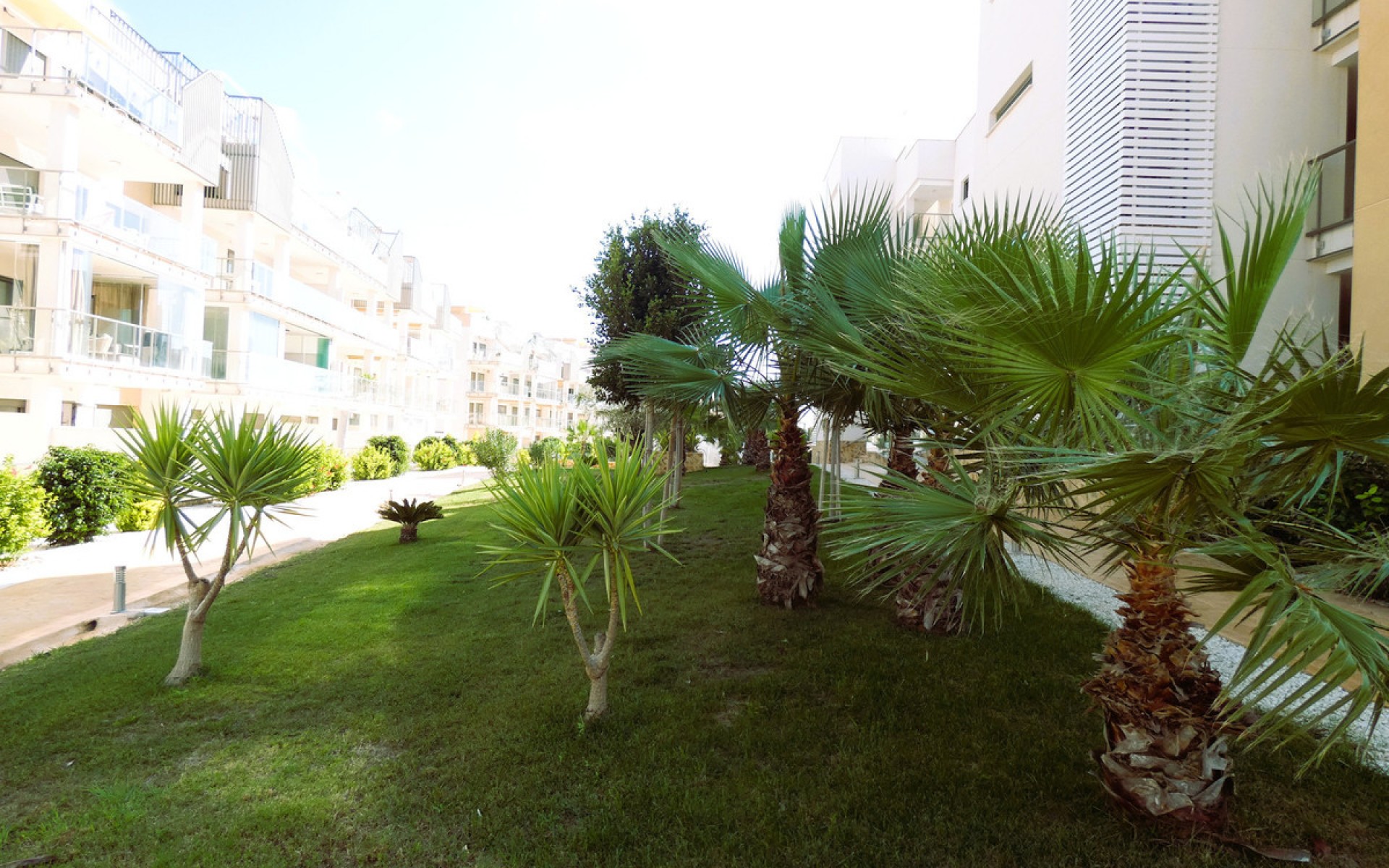 Resale - Appartement - Los Dolses