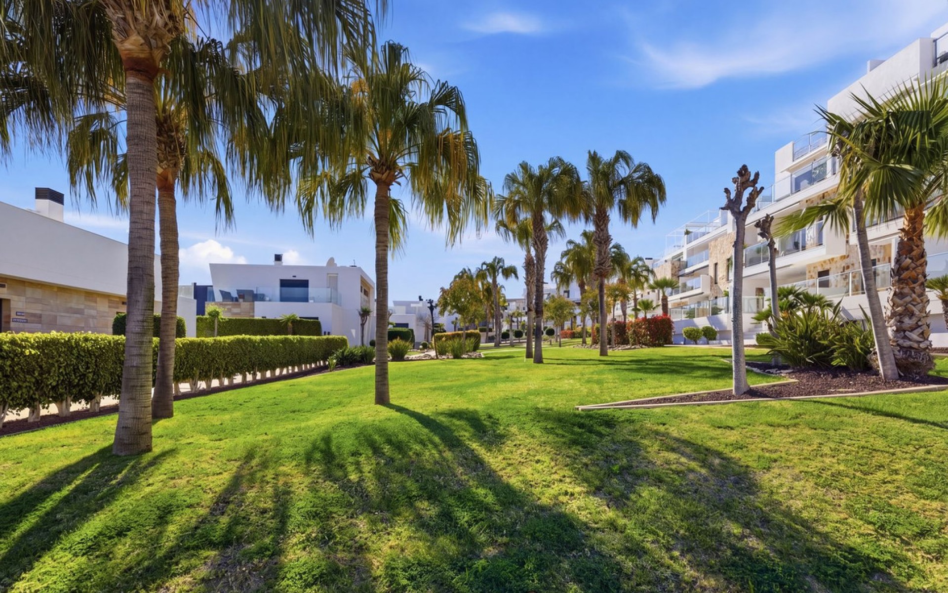 Resale - Appartement - Los Dolses