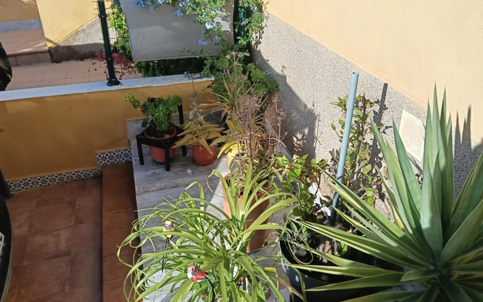 Resale - Appartement - Los Montesinos - Los Montesinos Centro