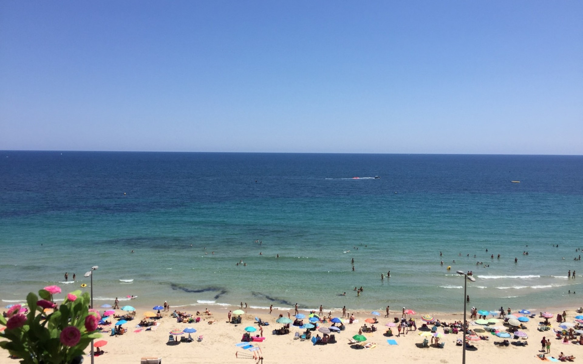 Resale - Appartement - Orihuela - Mil Palmeras