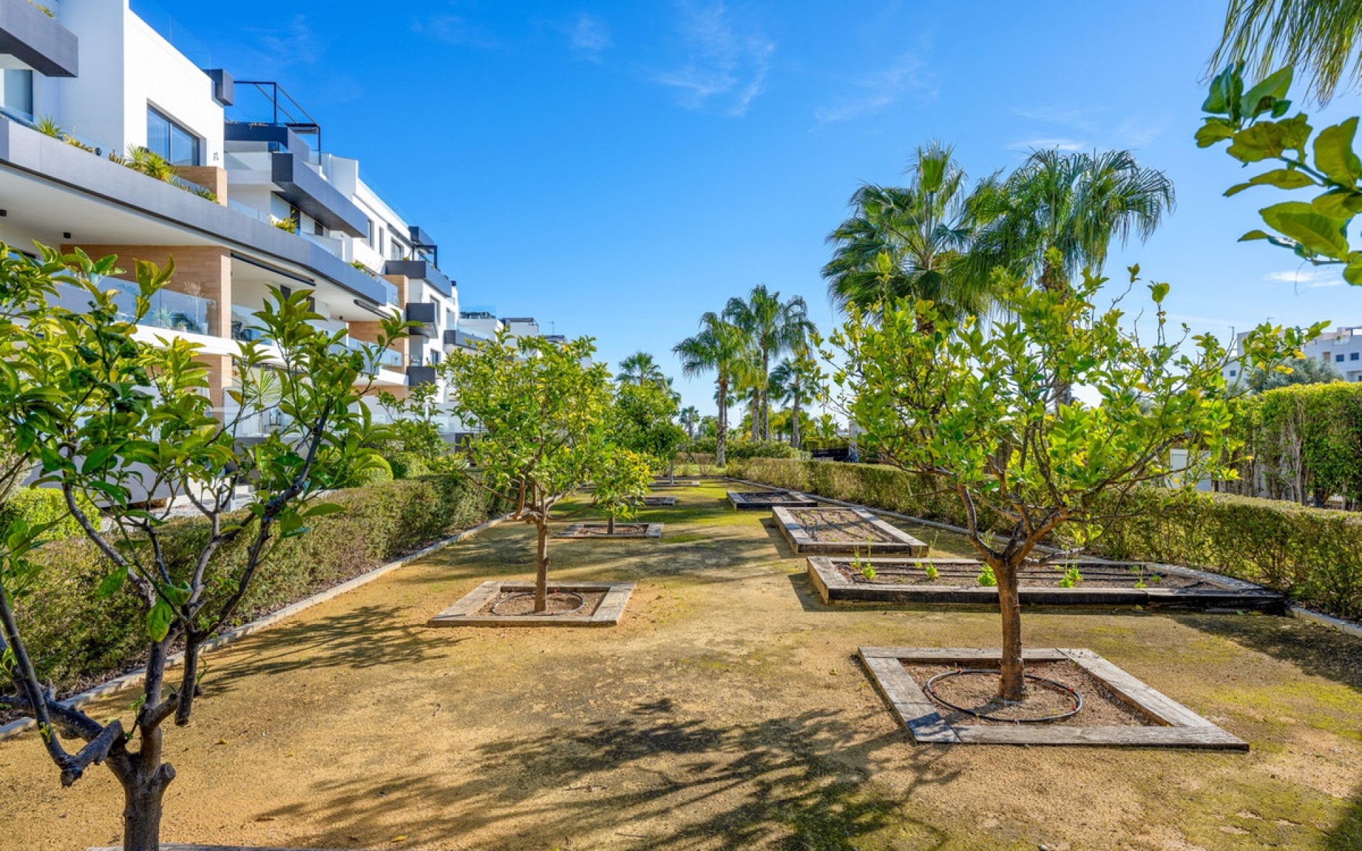 Resale - Appartement - Orihuela - Villamartin