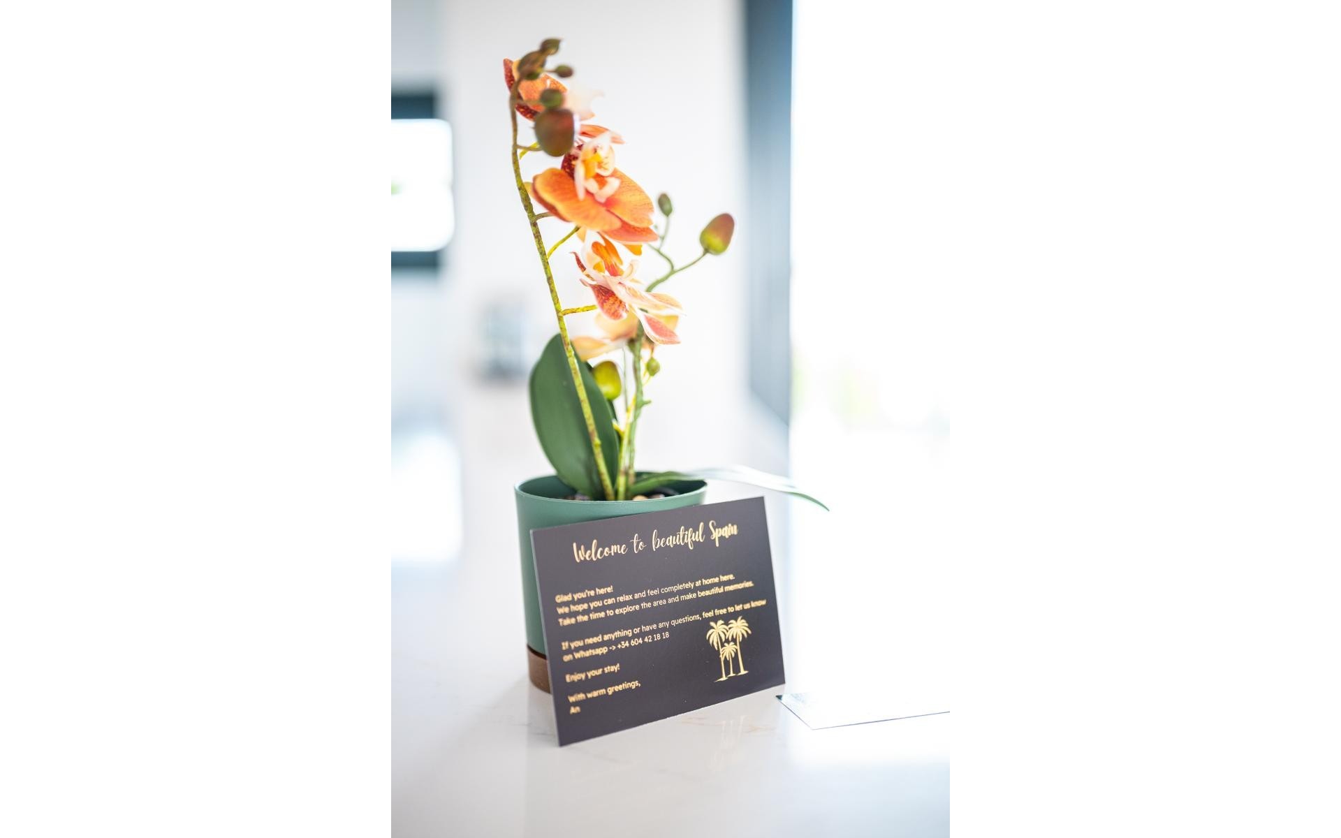 Resale - Appartement - Pilar de la Horadada - Pilar de la Horadada Centro