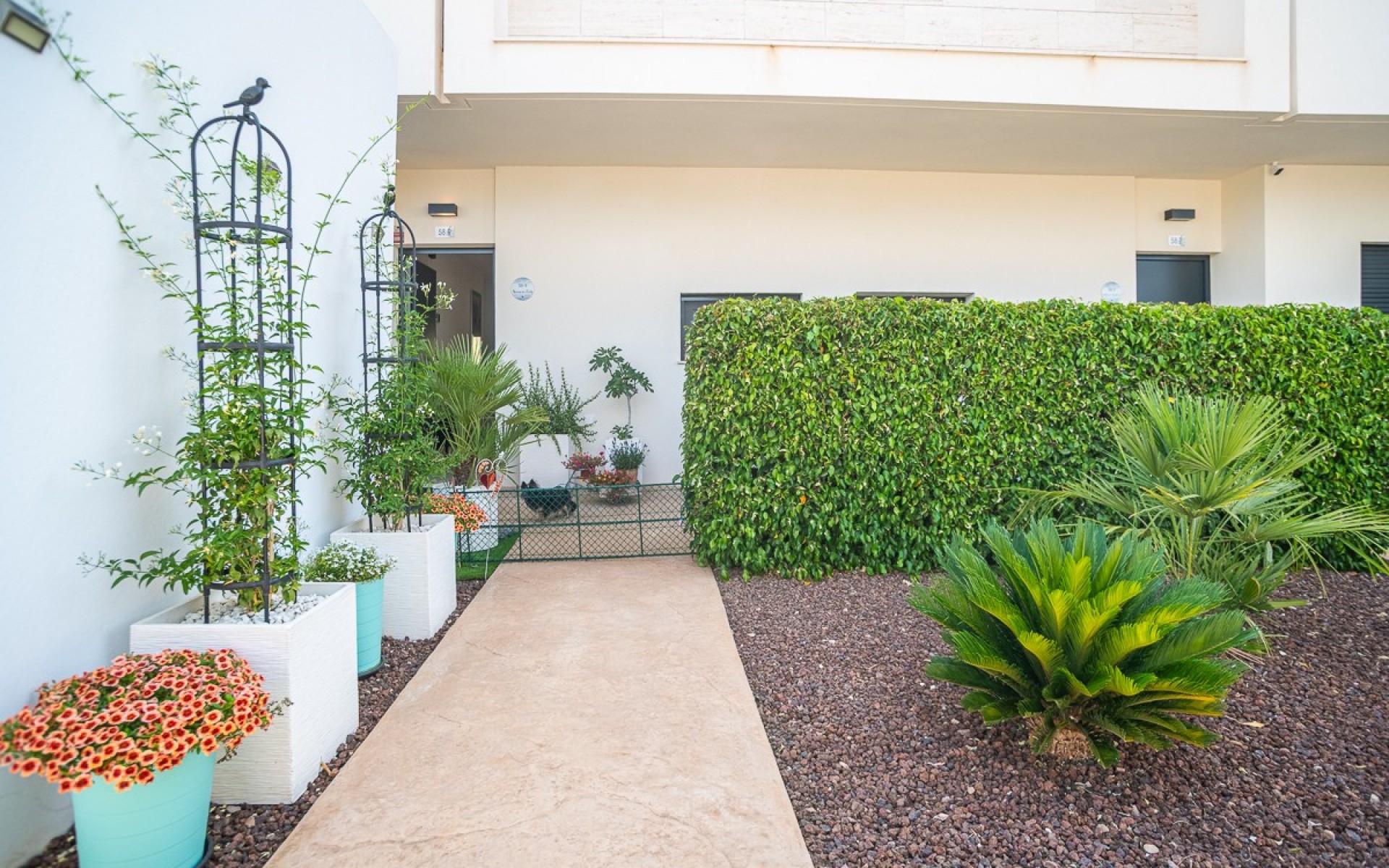 Resale - Appartement - Pilar de la Horadada - Pilar de la Horadada Centro