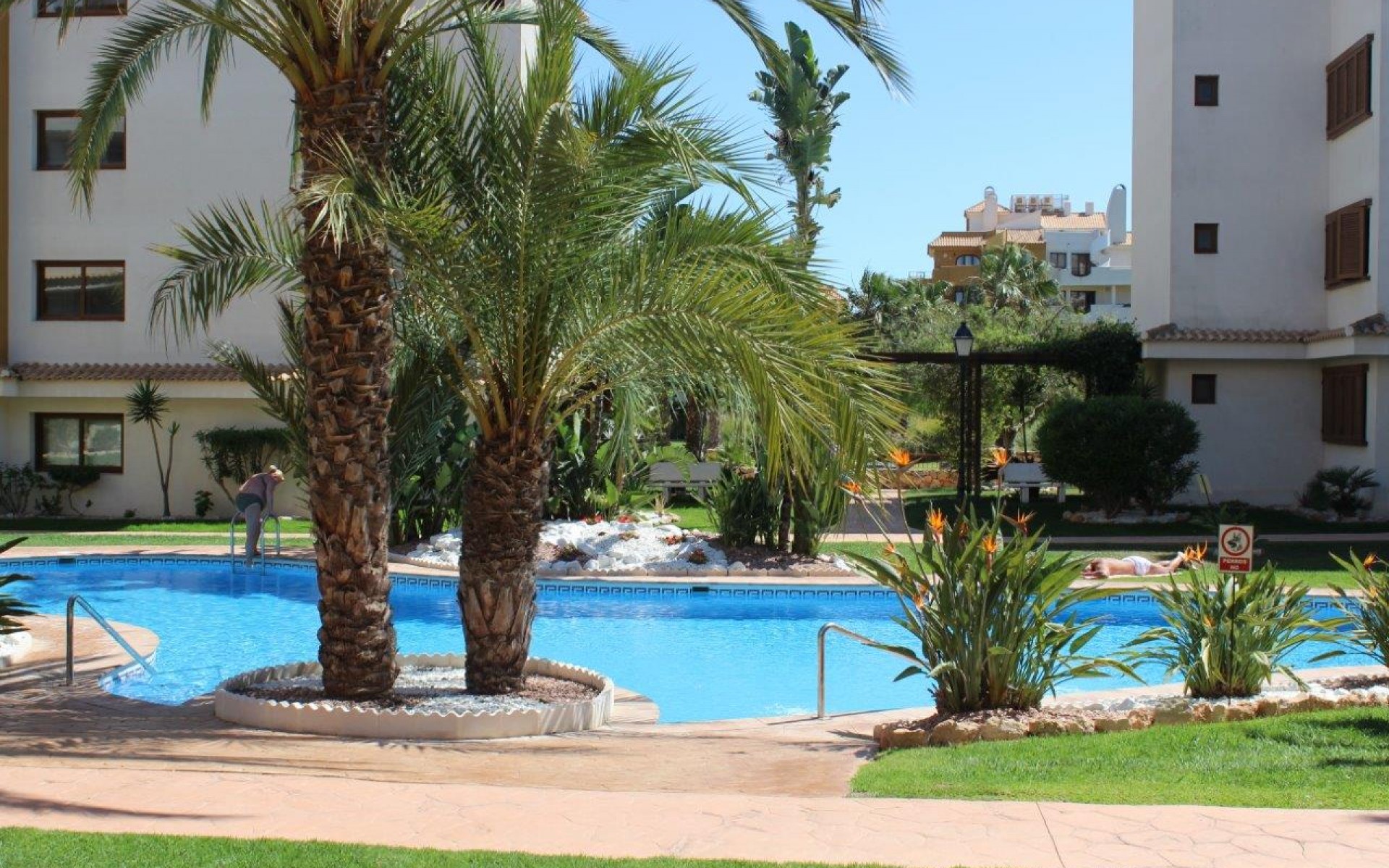 Resale - Appartement - Punta Prima - La Entrada