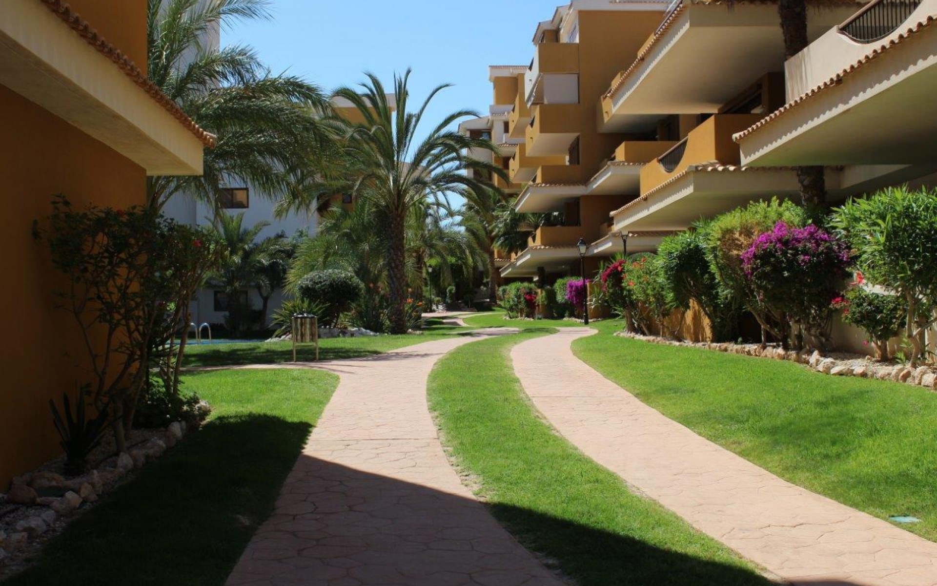 Resale - Appartement - Punta Prima - La Entrada