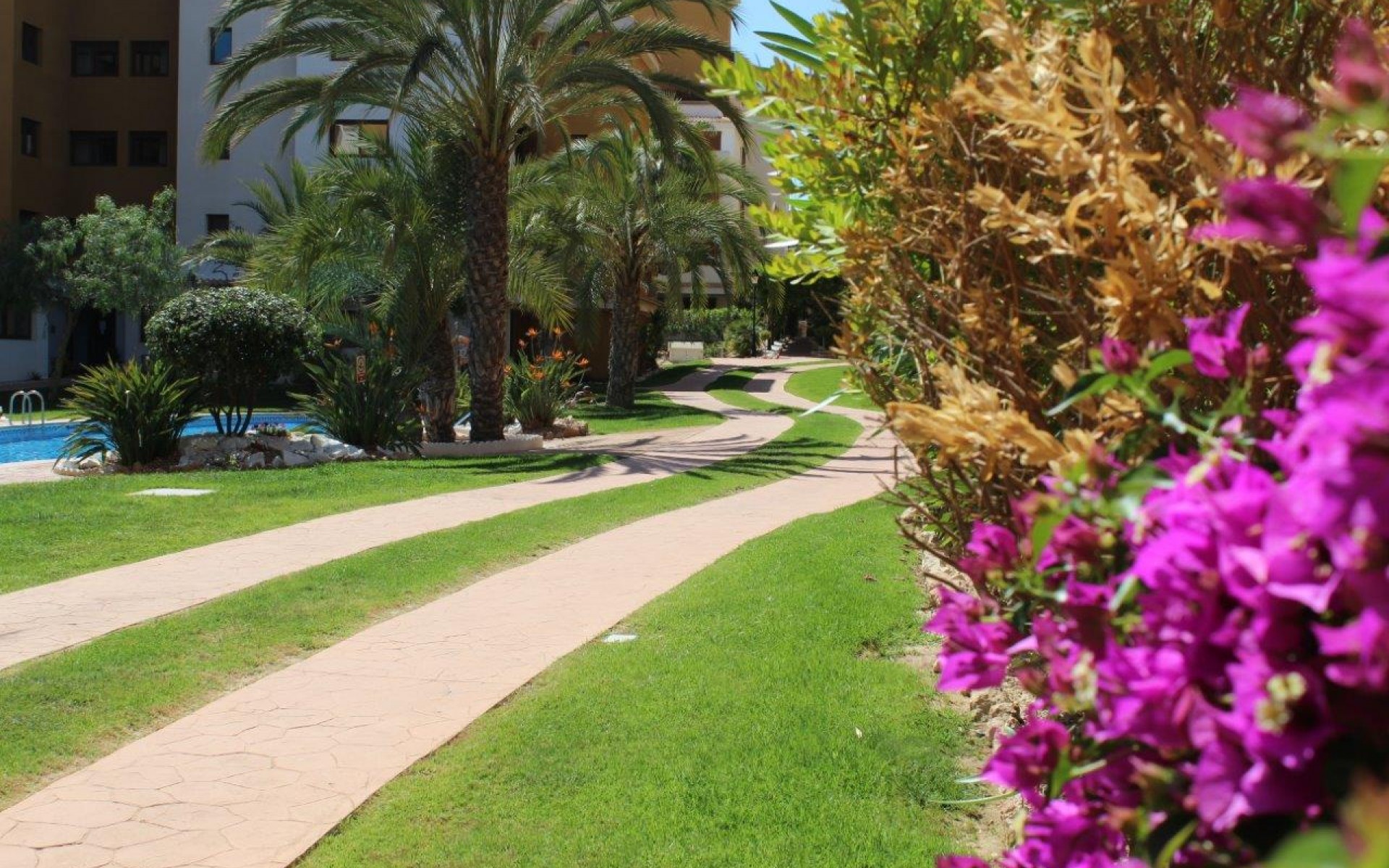 Resale - Appartement - Punta Prima - La Entrada