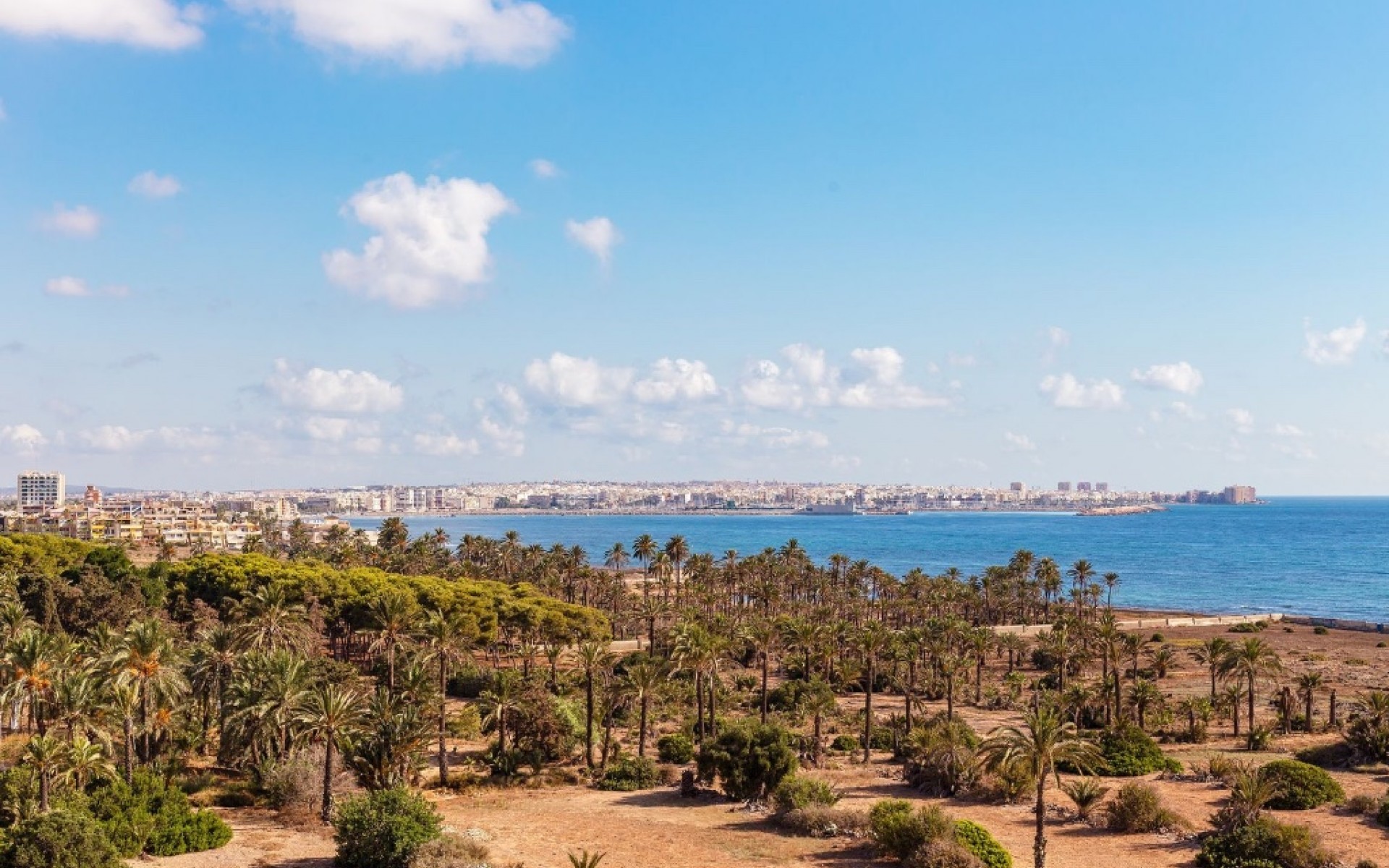 Resale - Appartement - Punta Prima