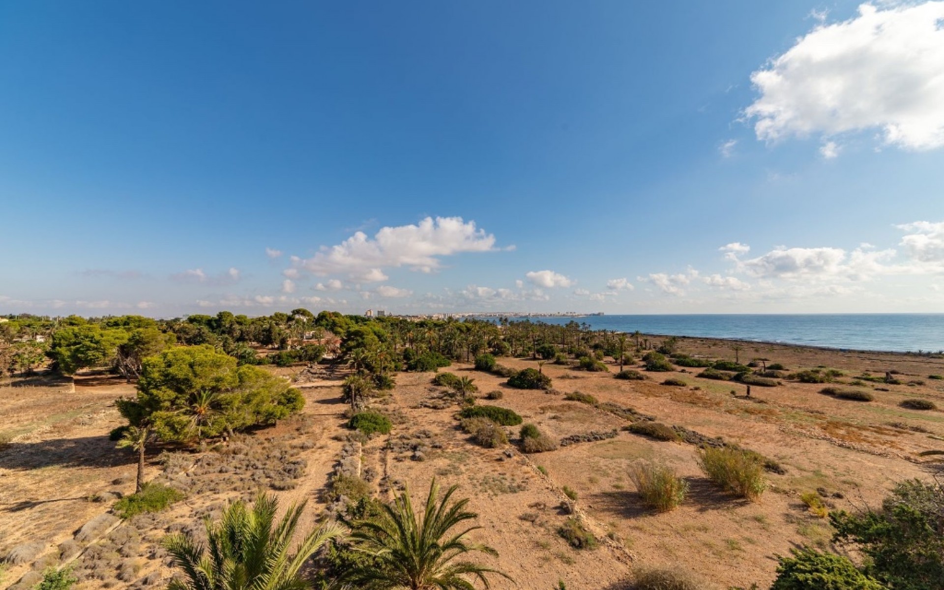 Resale - Appartement - Punta Prima