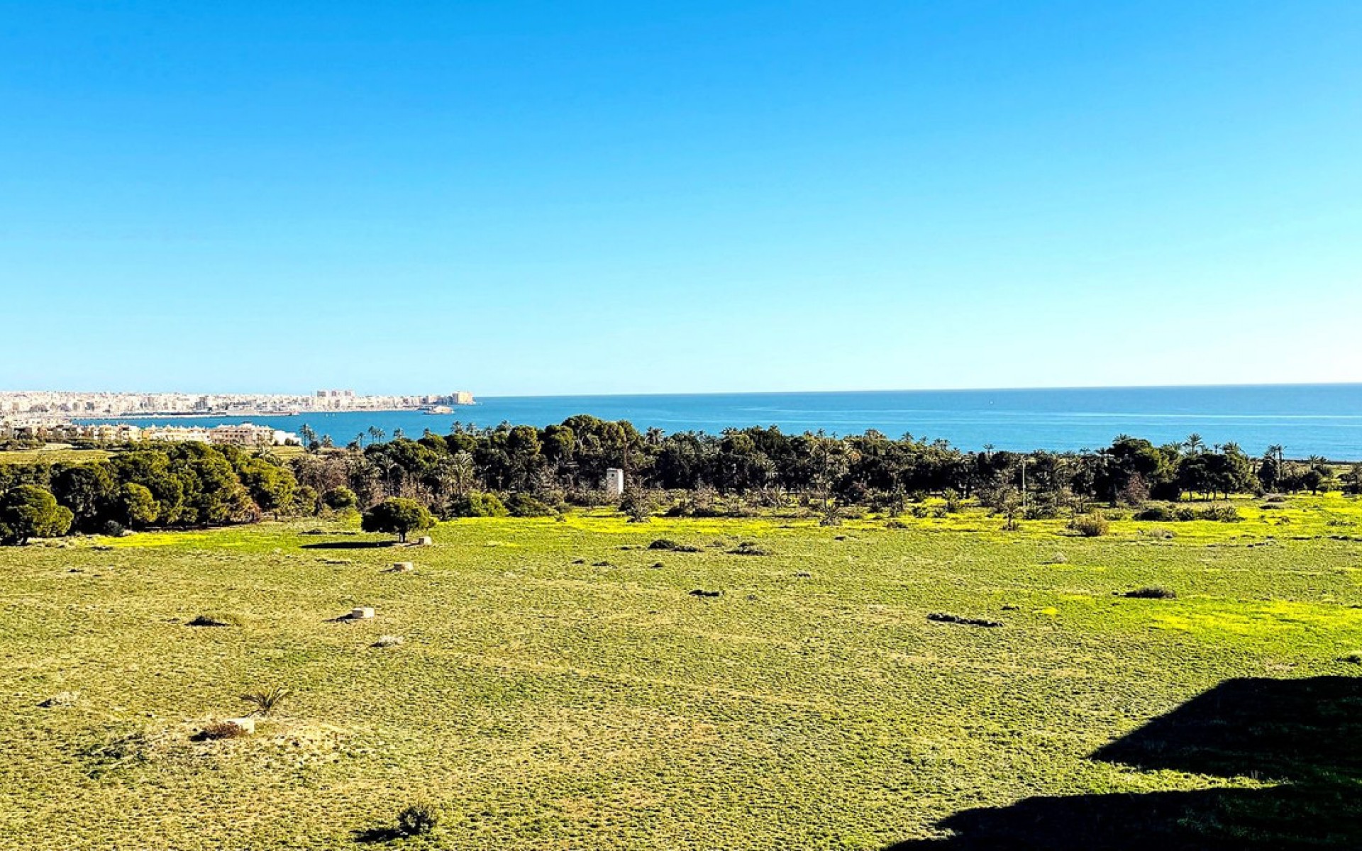 Resale - Appartement - Punta Prima