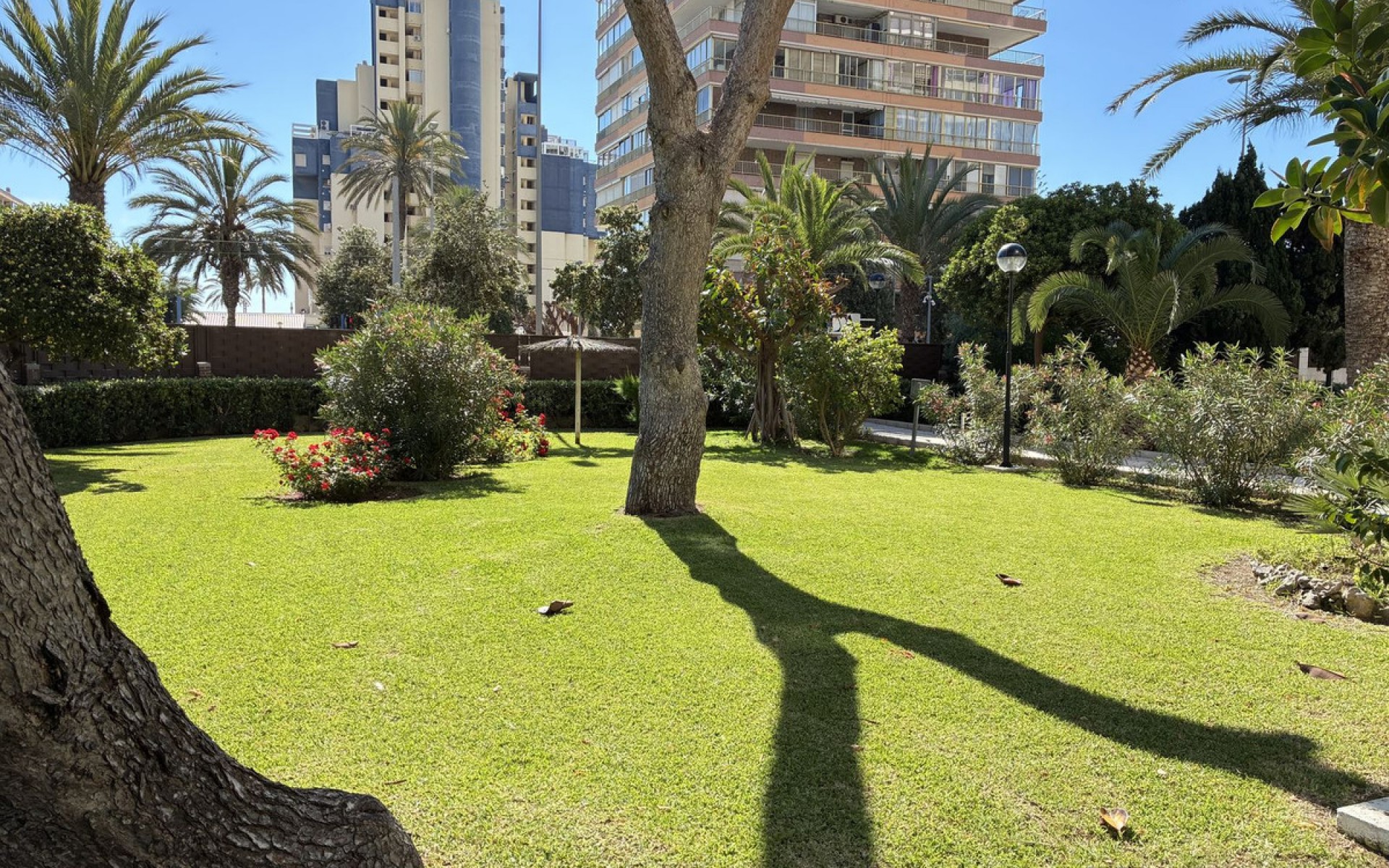 Resale - Appartement - San Juan de Alicante - Playa de San Juan