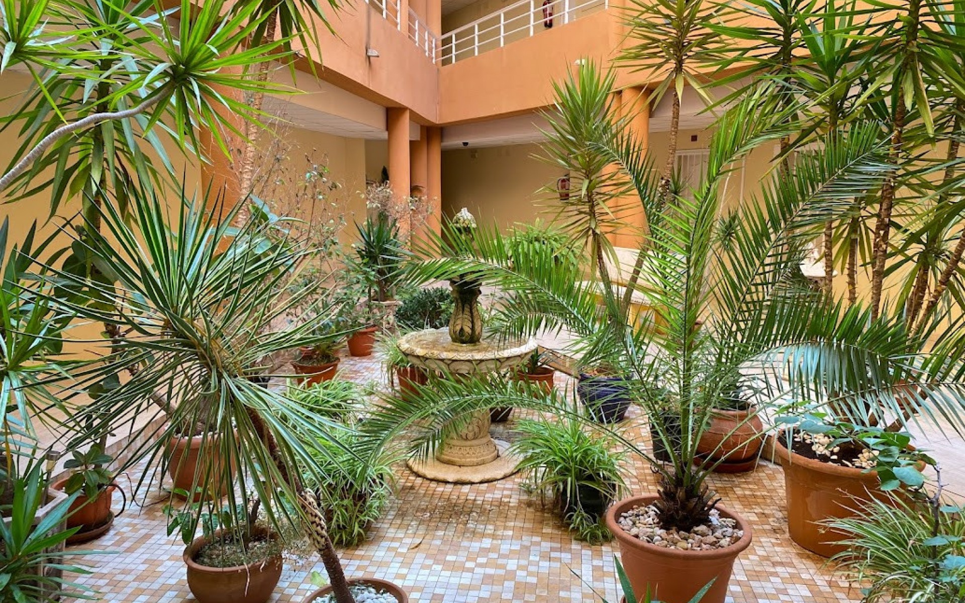 Resale - Appartement - San Miguel De Salinas - San Miguel de Salinas Centro
