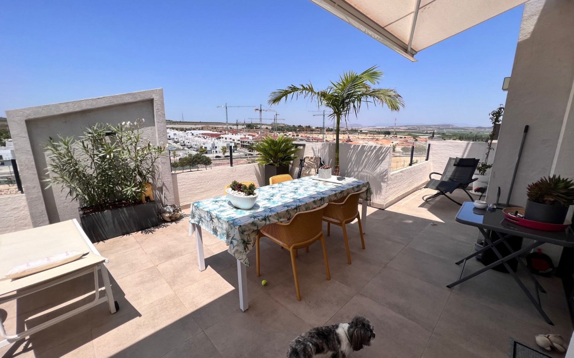 Resale - Appartement - San Miguel De Salinas - San Miguel de Salinas