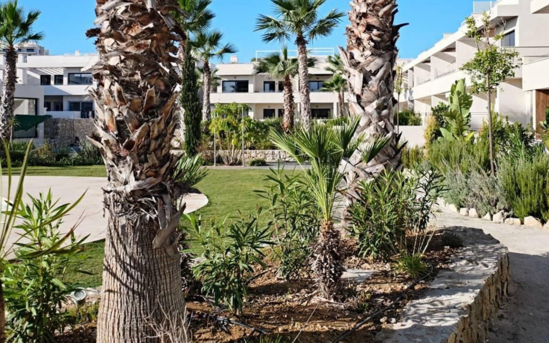 Resale - Appartement - Torrevieja - La Veleta