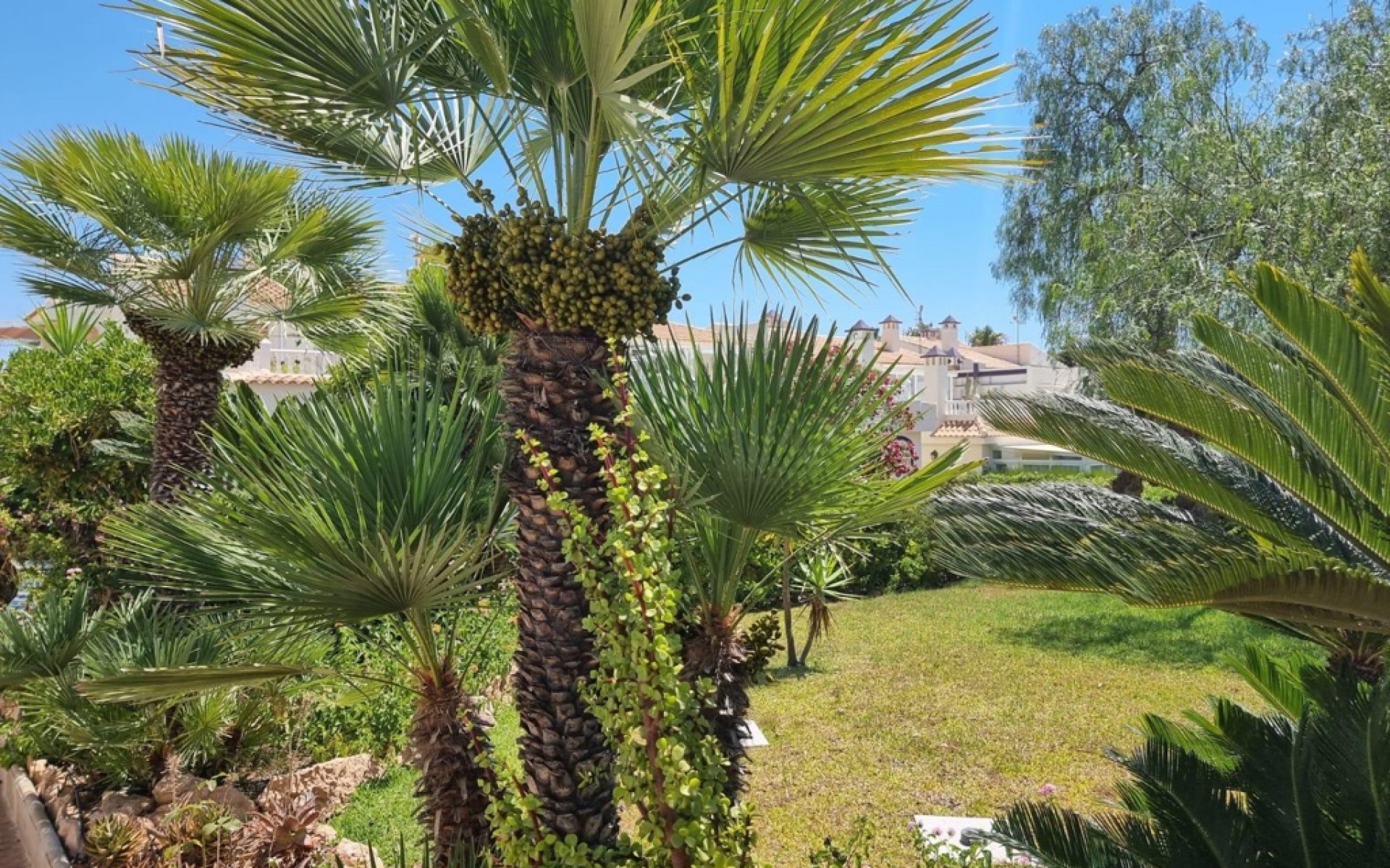 Resale - Appartement - Torrevieja - Los Balcones