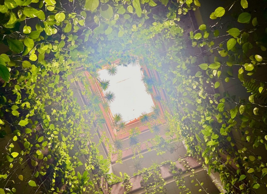 Resale - Appartement - Torrevieja - Torrevieja Centro