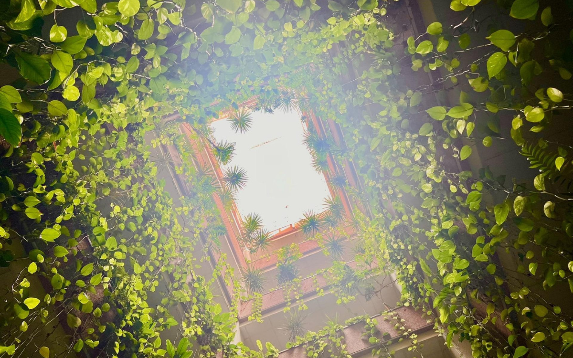 Resale - Appartement - Torrevieja - Torrevieja Centro