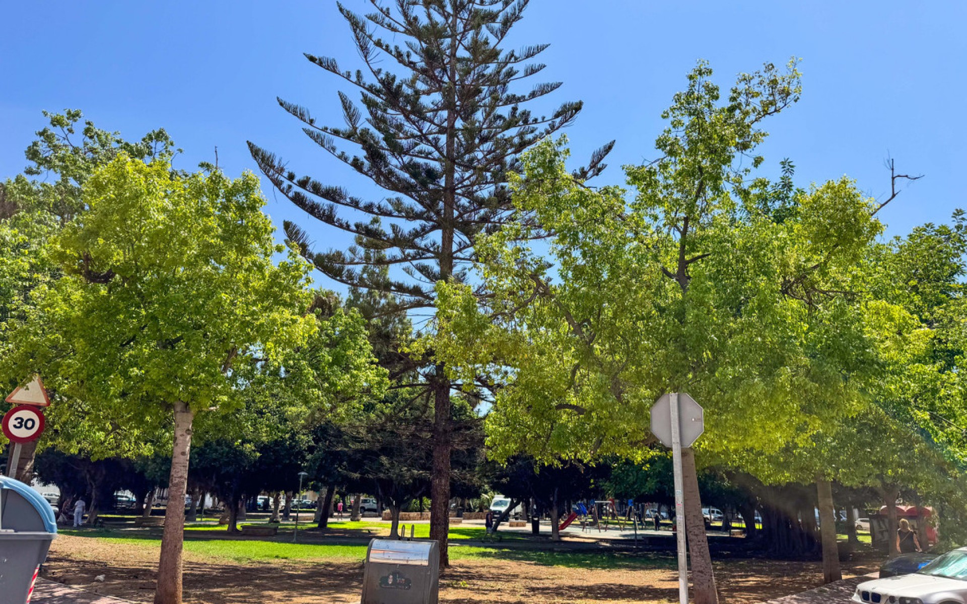 Resale - Appartement - Torrevieja - Torrevieja Centro