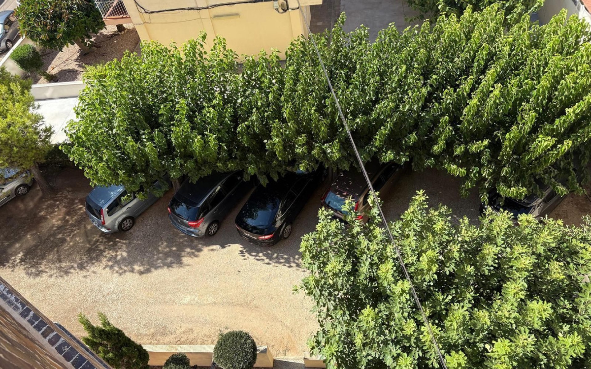 Resale - Appartement - Torrevieja - Torrevieja Centro