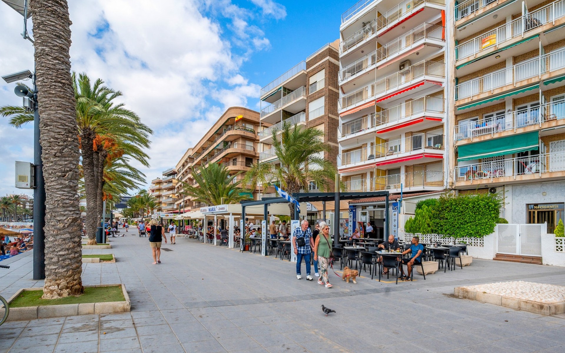 Resale - Appartement - Torrevieja - Torrevieja Centro