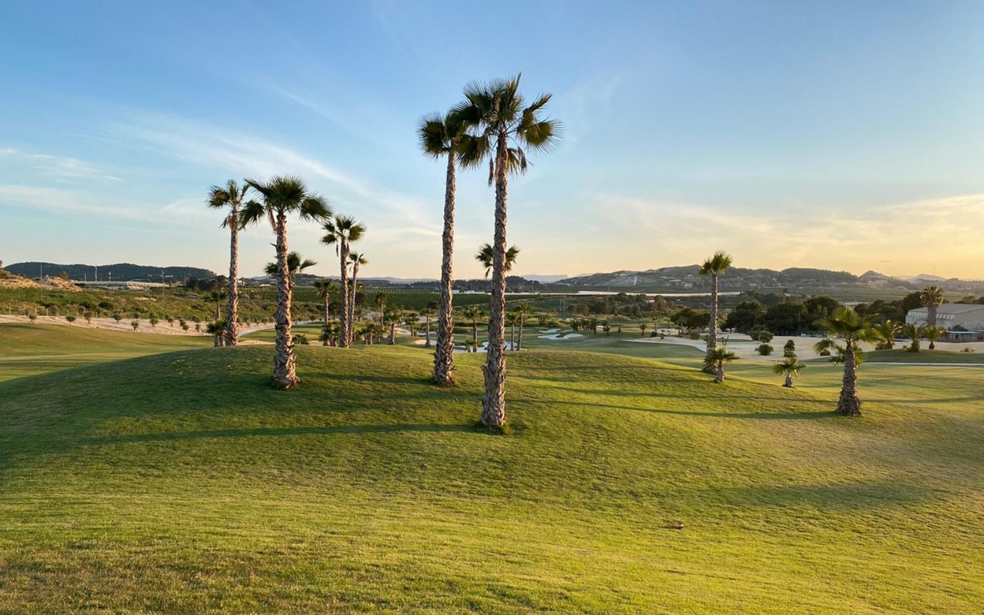 Resale - Appartement - Vista Bella Golf - Vistabella Golf Resort