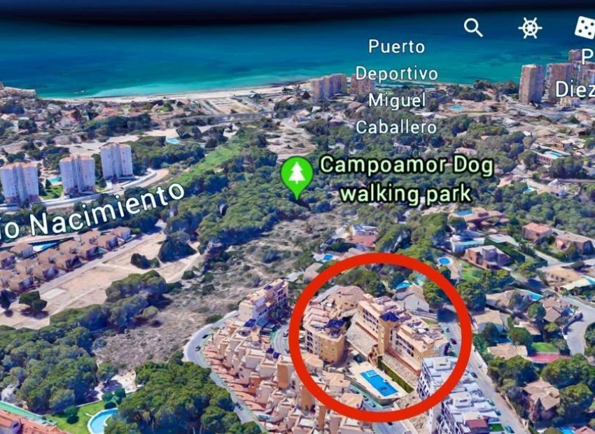 Resale - Commercieel - Orihuela - Campoamor