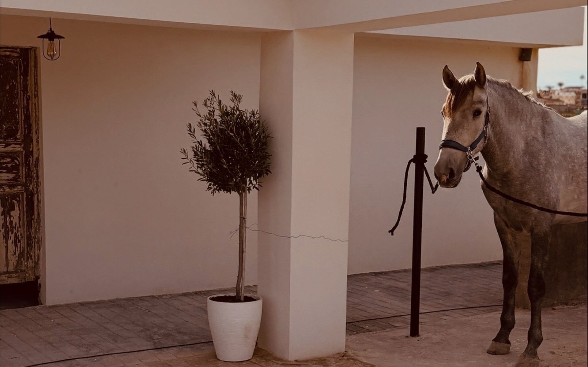 Resale - Country House - Algorfa - Algorfa Centro