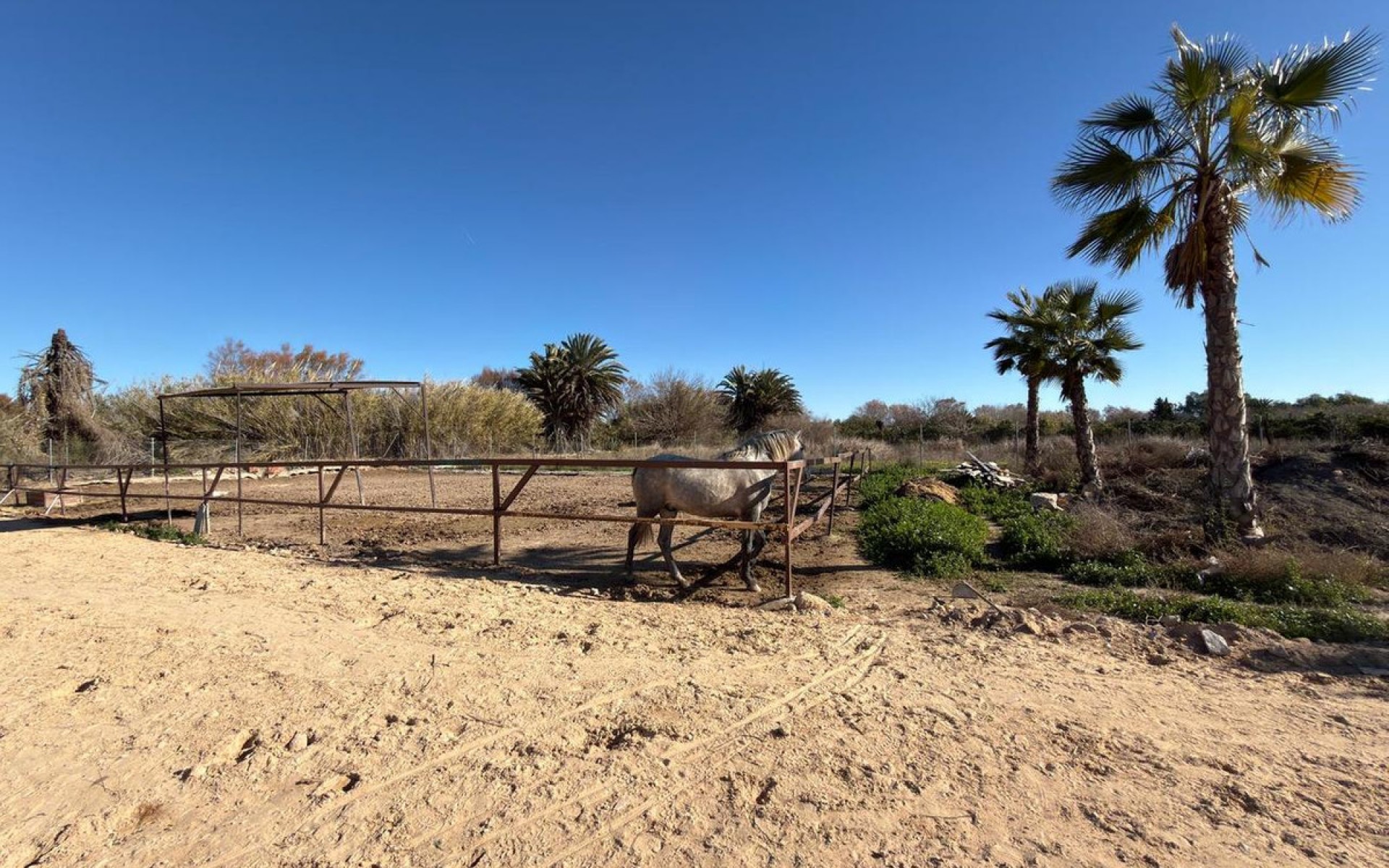 Resale - Country House - Algorfa - Algorfa Centro