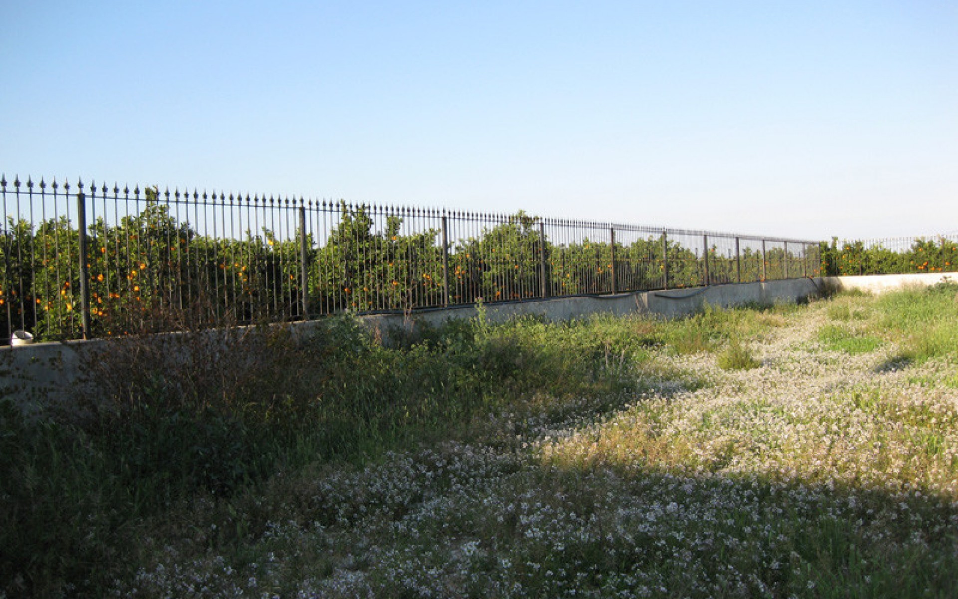 Resale - Country House - Benferri