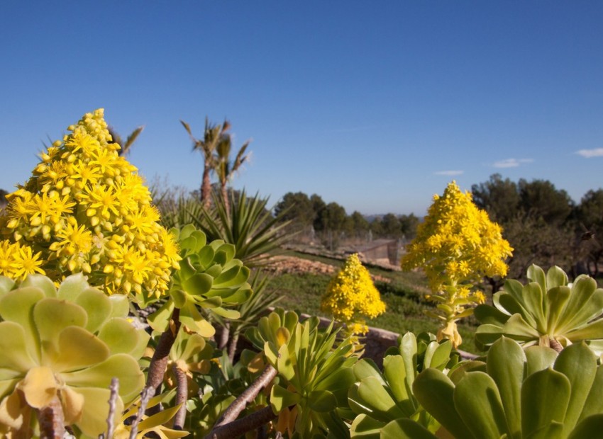 Resale - Country House - BenIssa - Benissa Centro