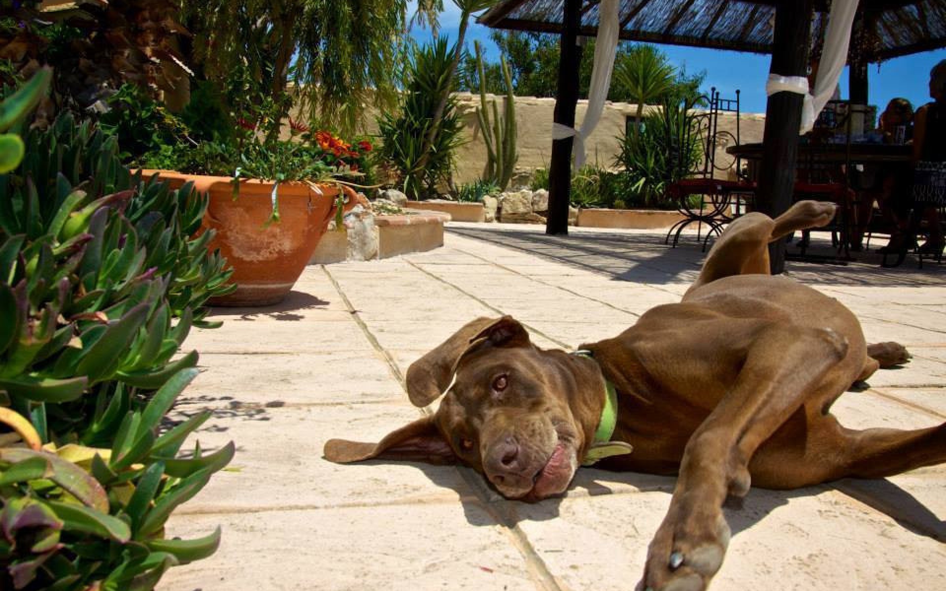 Resale - Country House - BenIssa - Benissa Centro