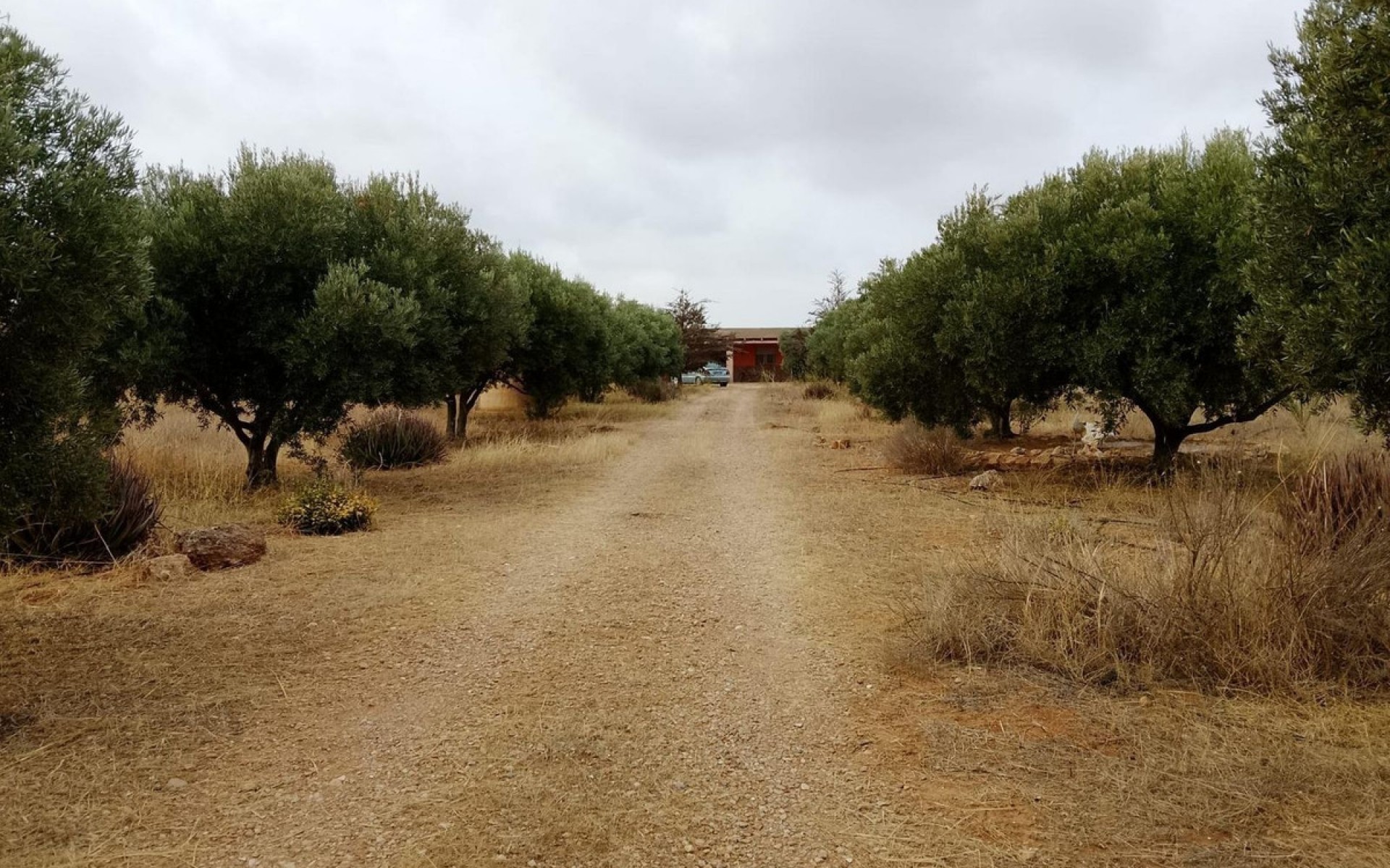 Resale - Country House - Cartagena - La Magdalena