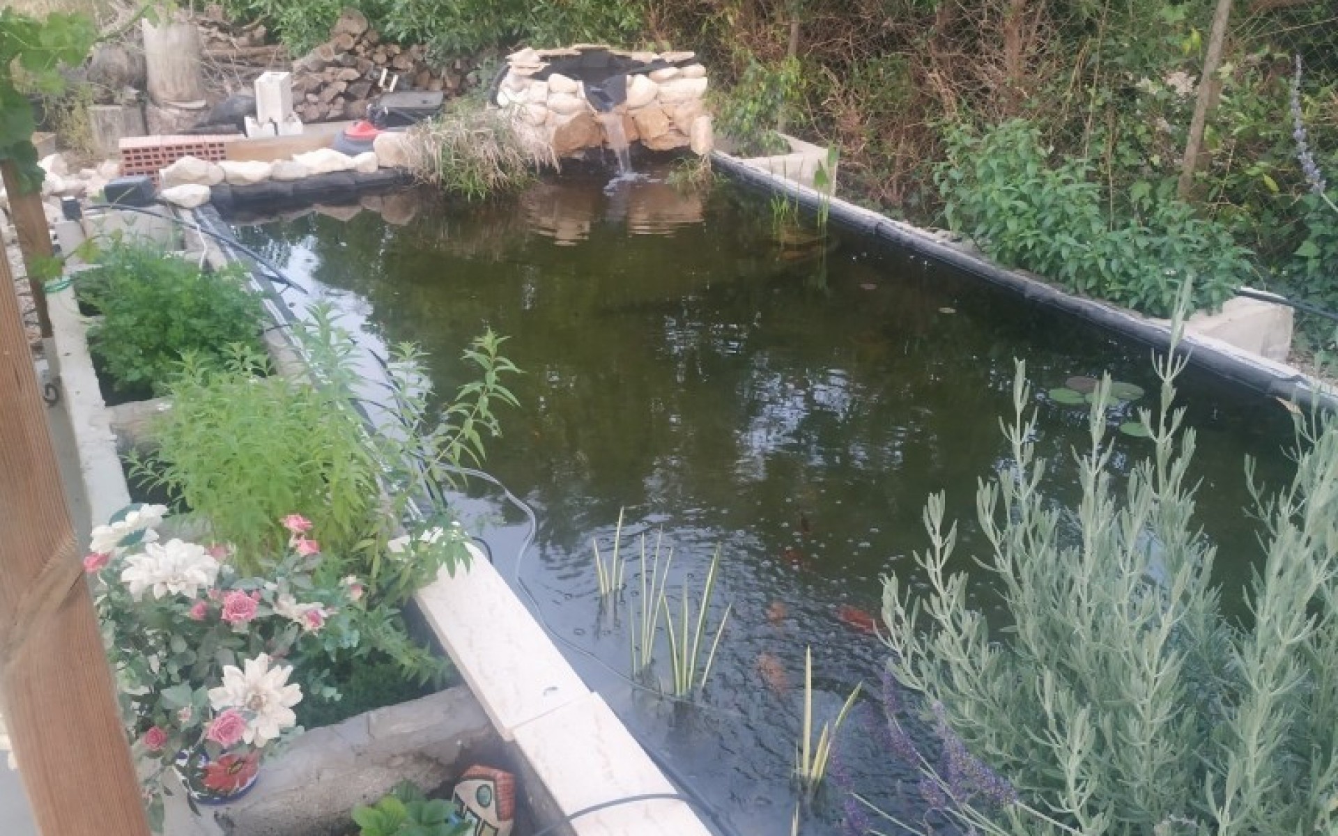 Resale - Country House - Crevillente - Crevillent - Crevillente - Crevillent Centro