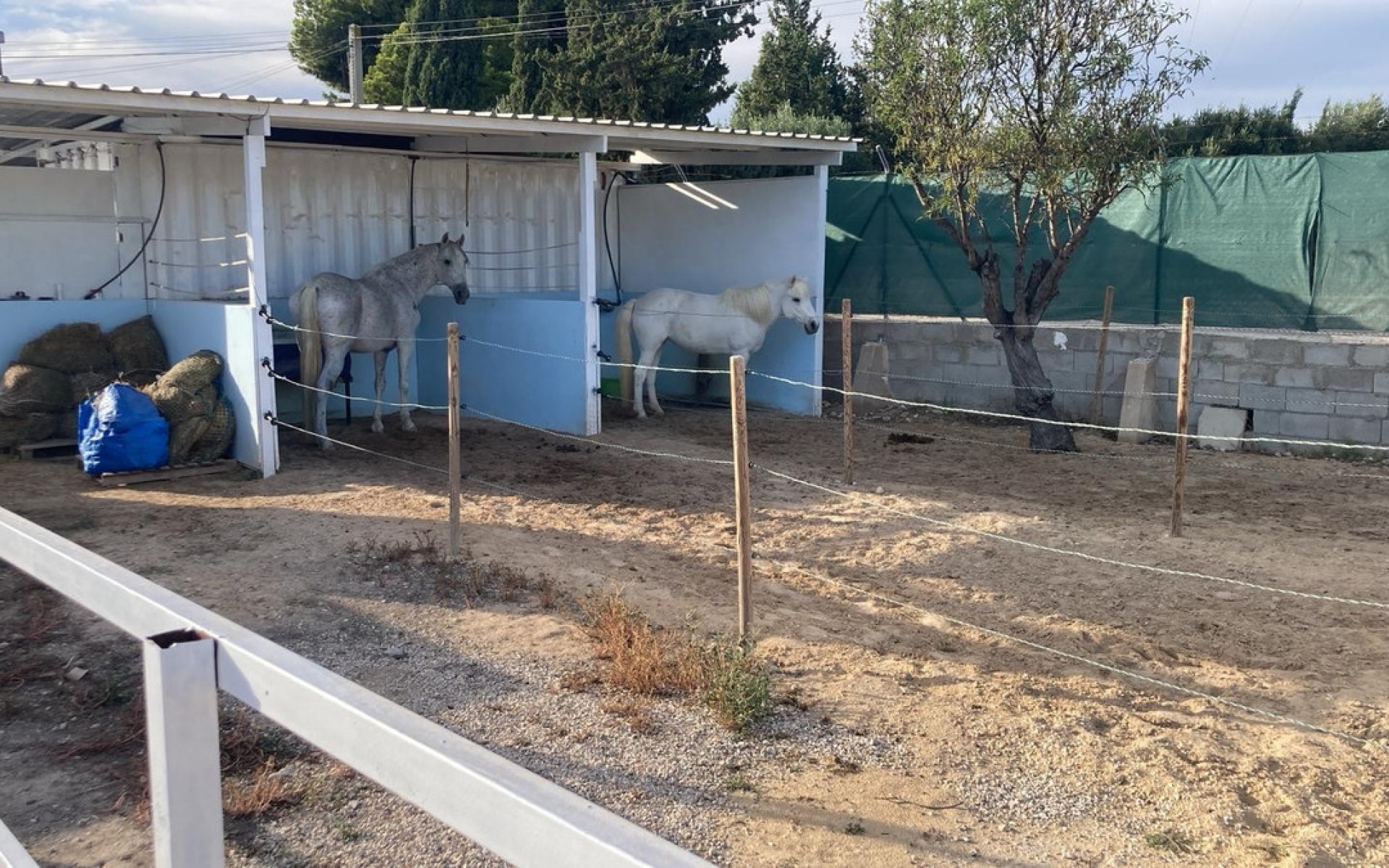 Resale - Country House - Crevillente - Crevillent - Crevillente - Crevillent Centro