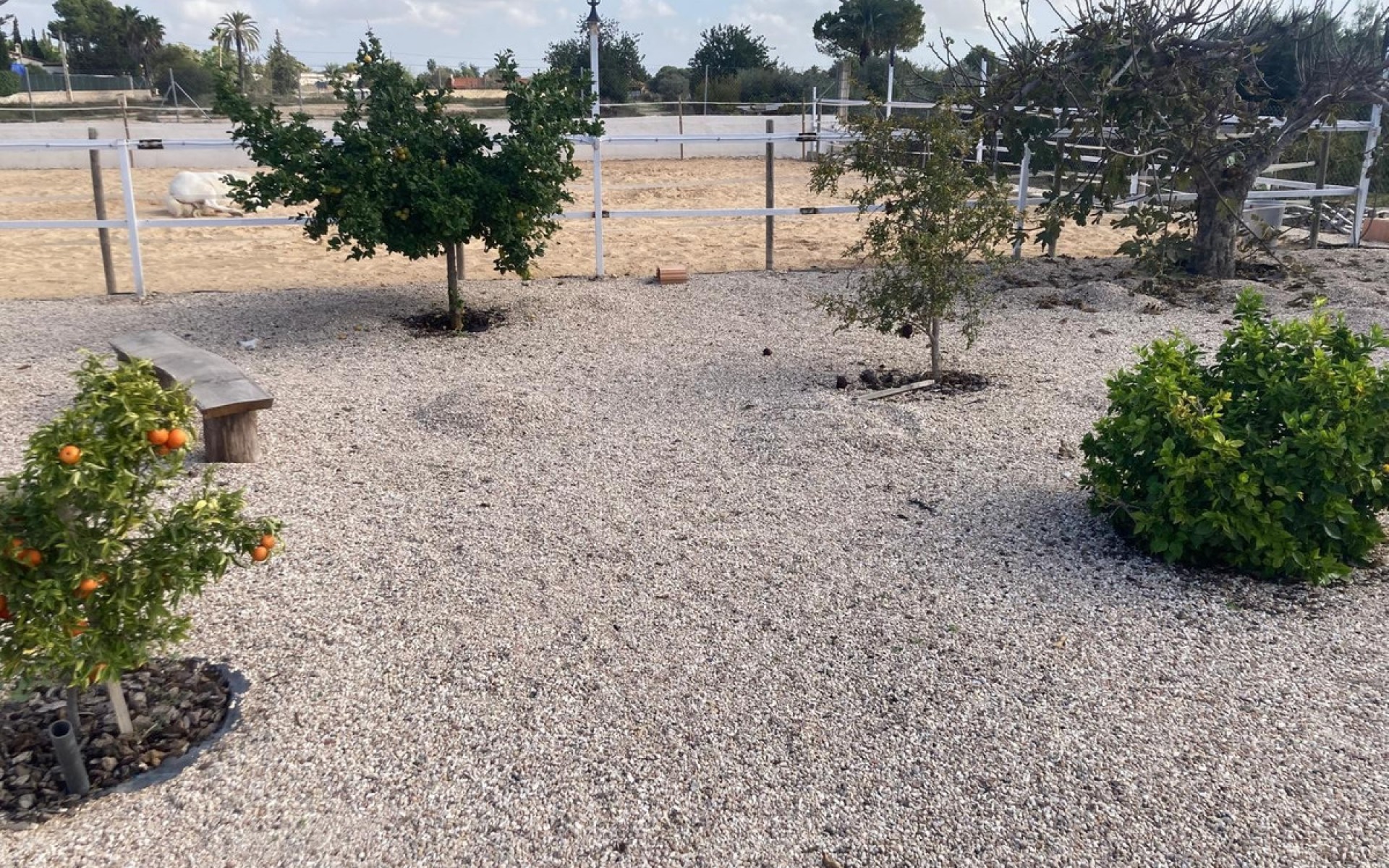 Resale - Country House - Crevillente - Crevillent - Crevillente - Crevillent Centro