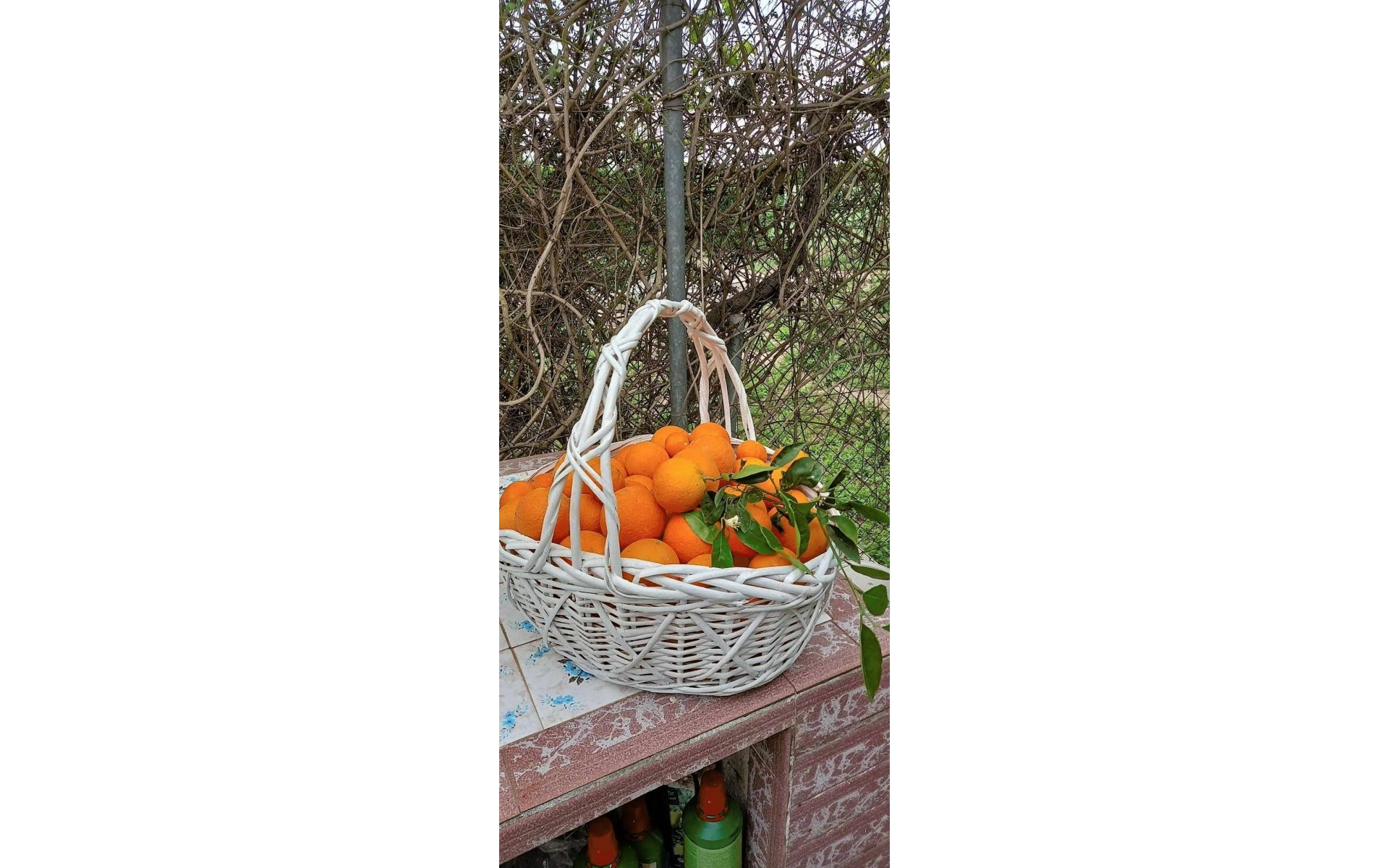 Resale - Country House - Dolores - Dolores Centro