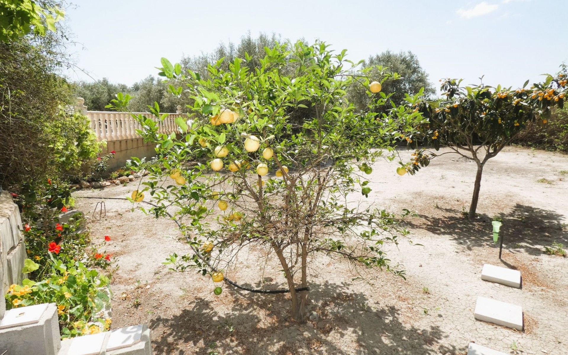 Resale - Country House - Dolores - Dolores Centro