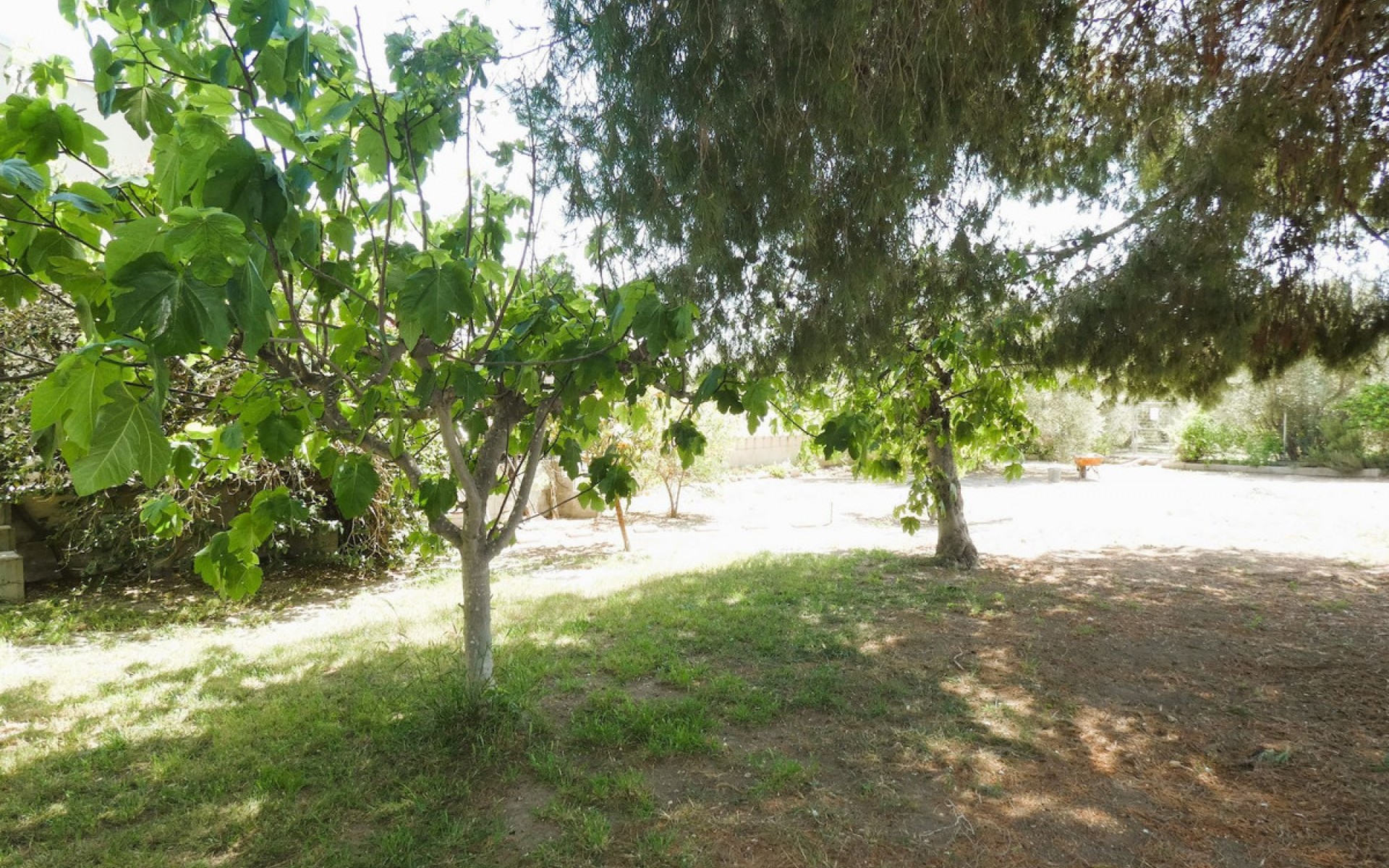 Resale - Country House - Dolores - Dolores Centro