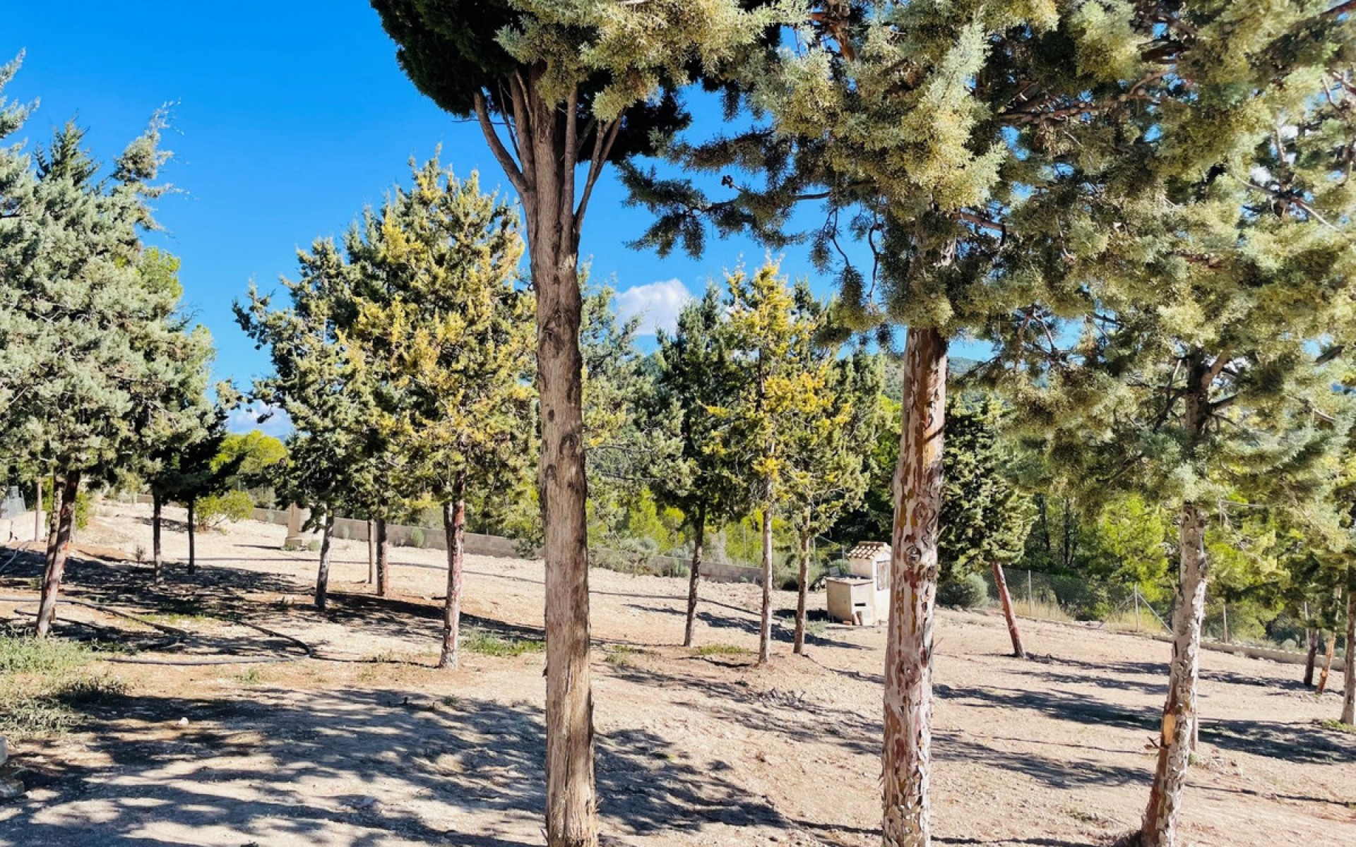 Resale - Country House - Jijona - Xixona - Jijona - Xixona Centro